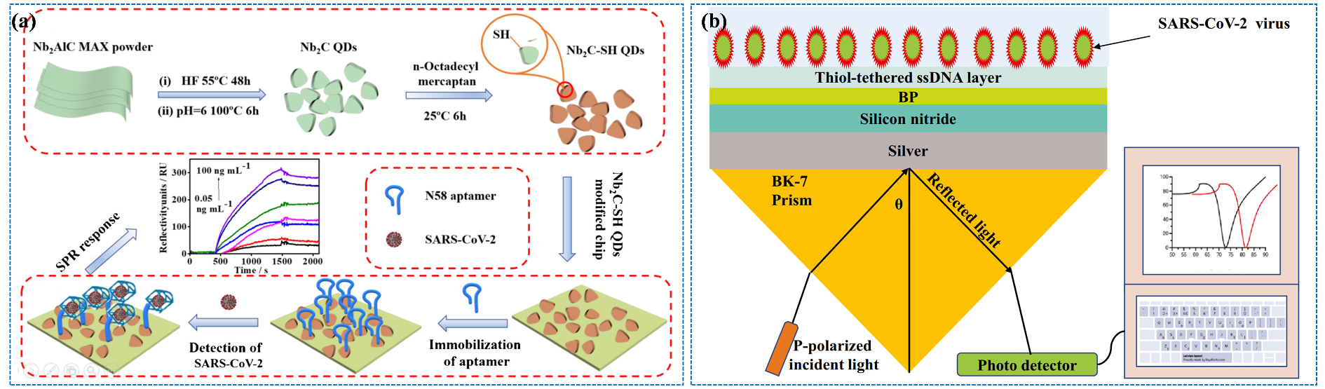 Biosensors 12 00862 g011