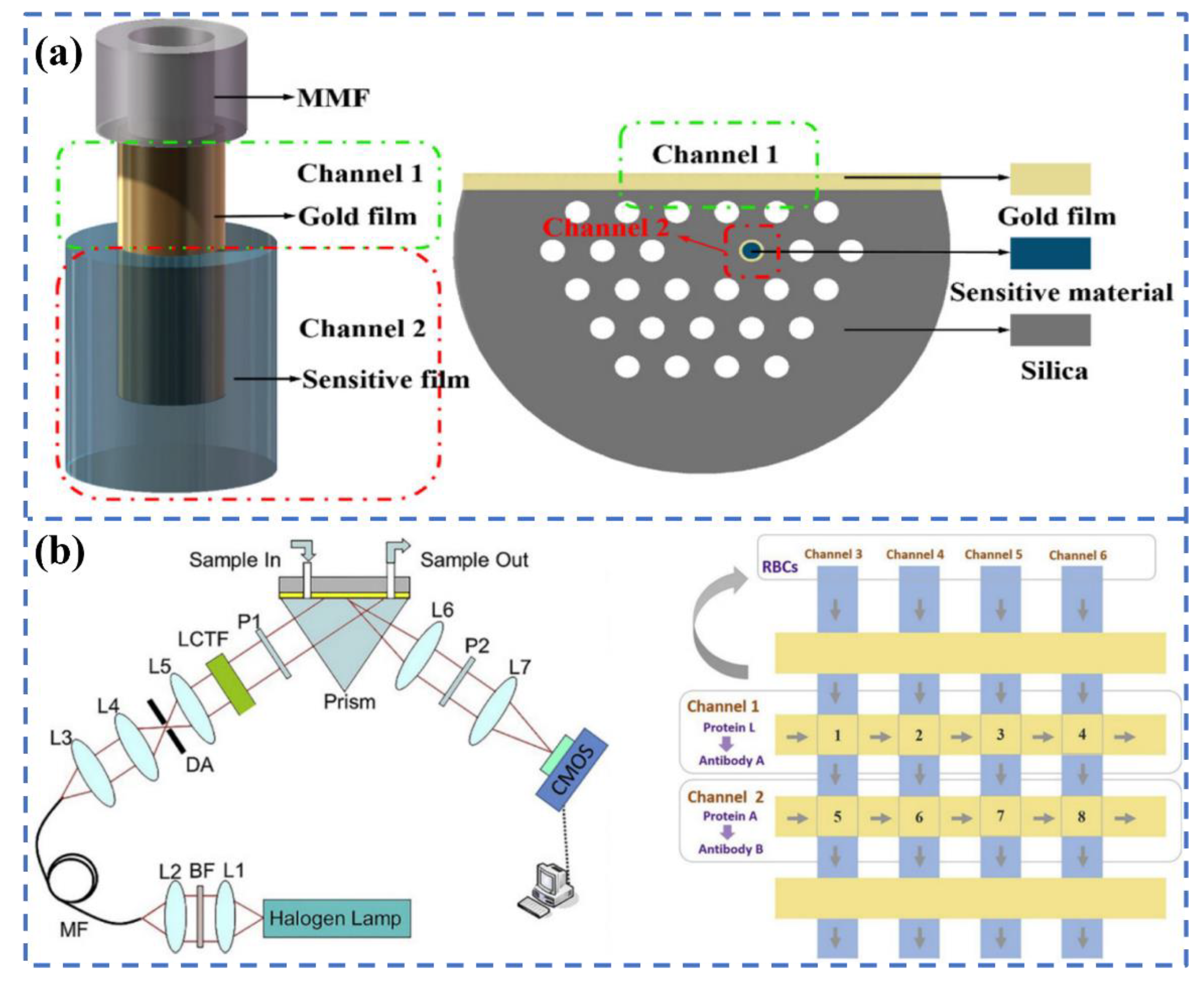 Biosensors 12 00862 g012