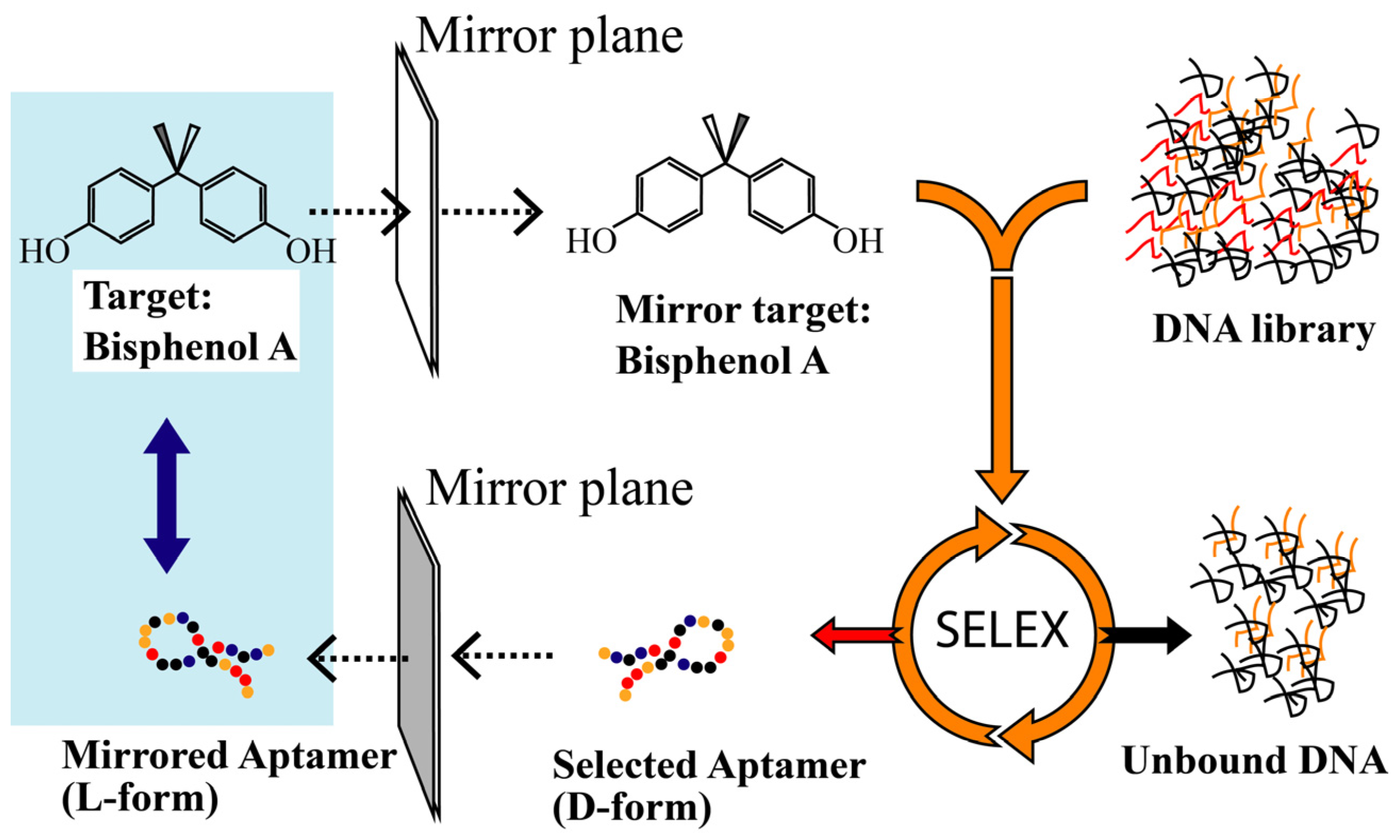 Biosensors 12 00864 g001 Biosensors 12 00864 g001