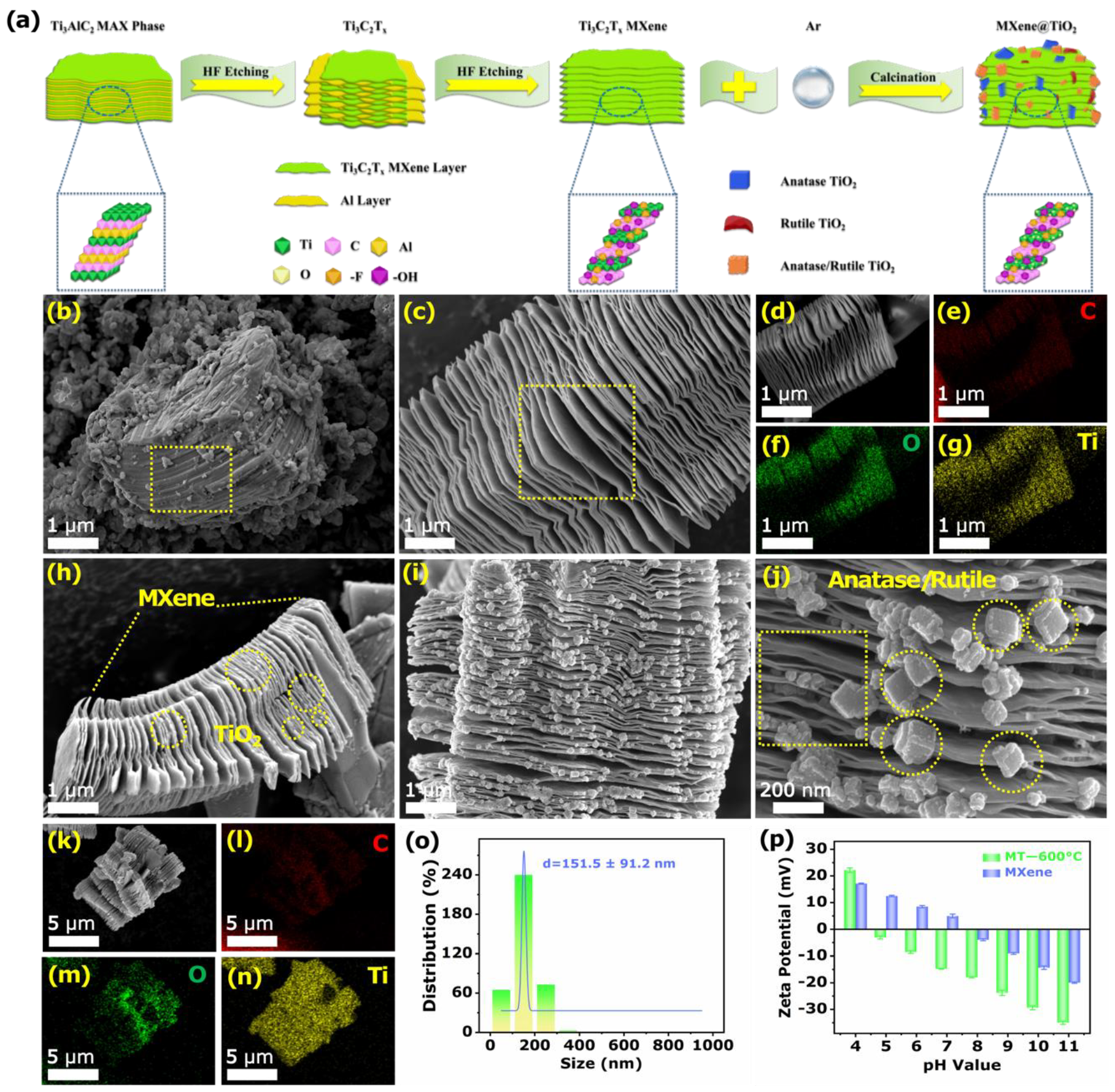 Biosensors 12 00865 g001