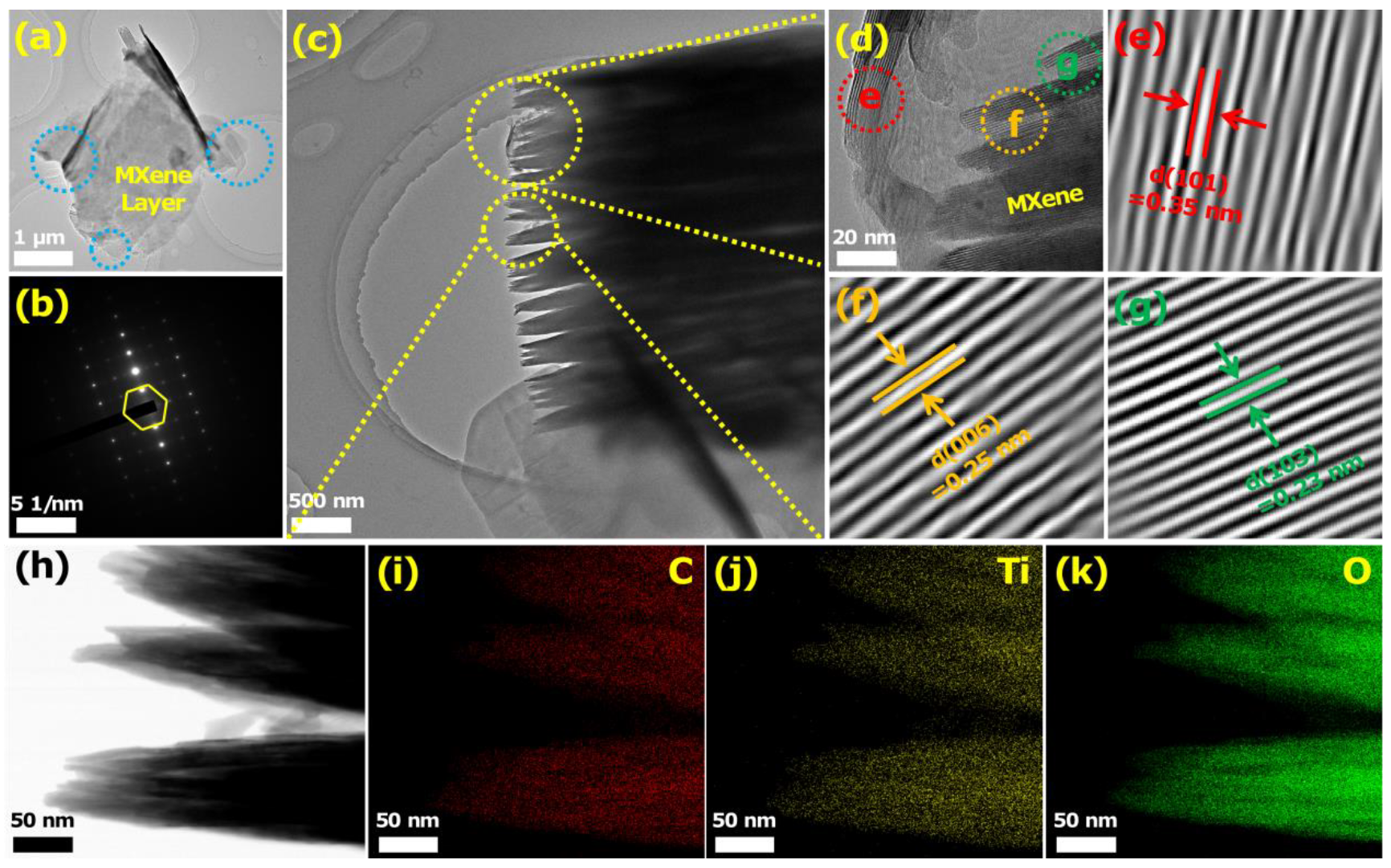 Biosensors 12 00865 g003