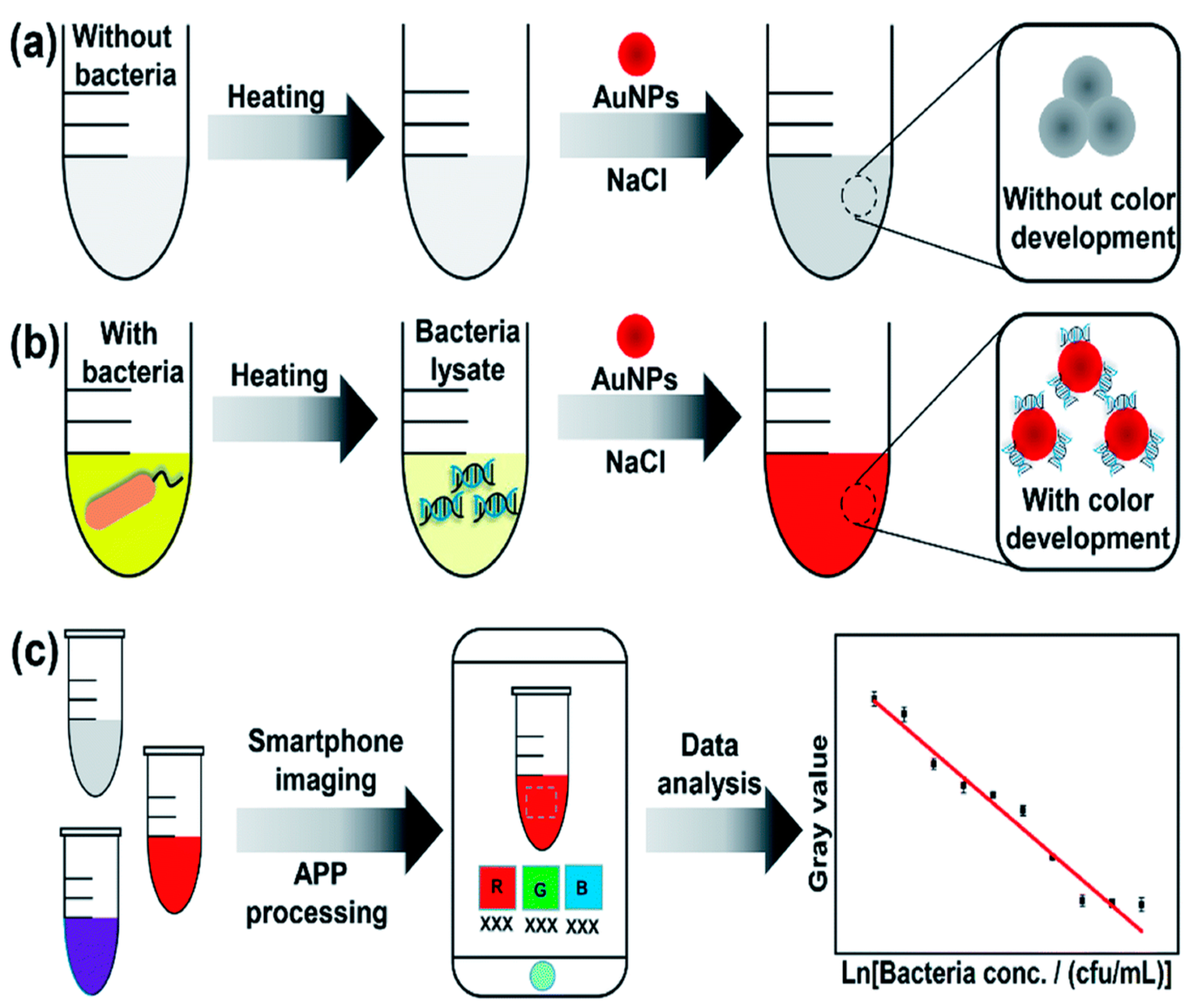 Biosensors 12 00869 g002 Biosensors 12 00869 g002