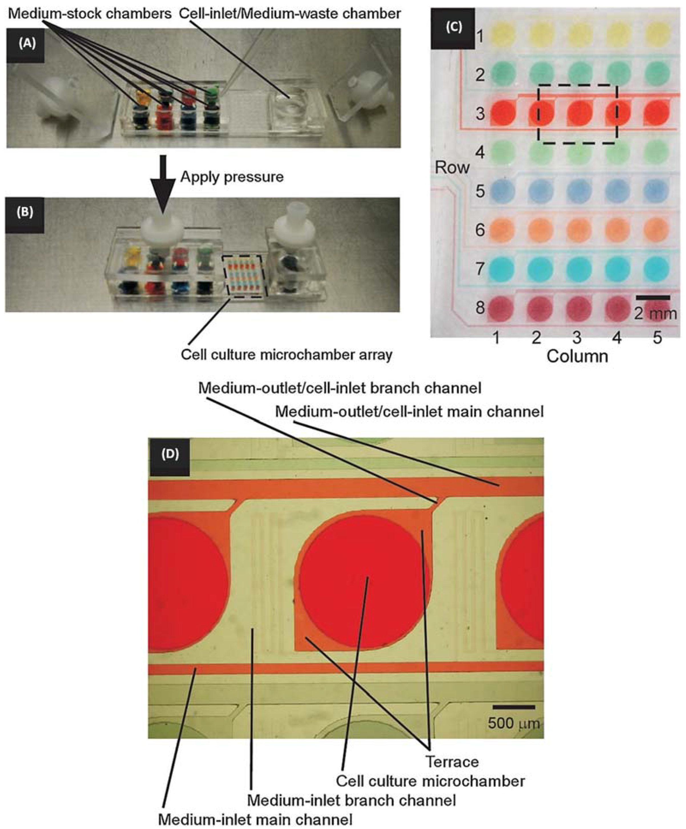 Biosensors 12 00870 g005 Biosensors 12 00870 g005