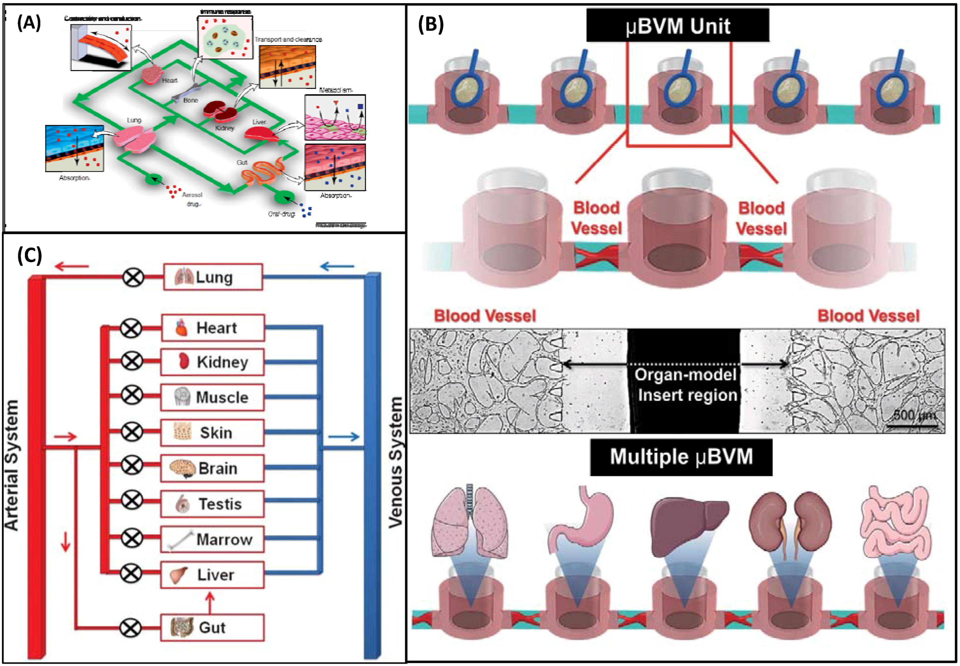 Biosensors 12 00870 g008 Biosensors 12 00870 g008