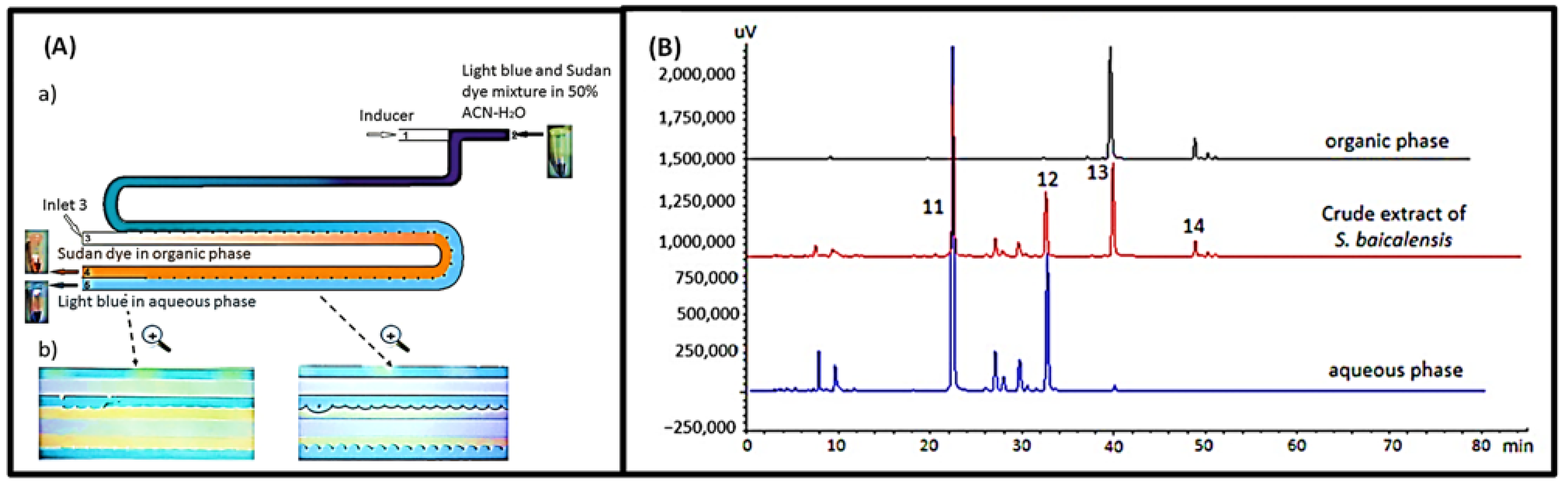 Biosensors 12 00870 g011 Biosensors 12 00870 g011