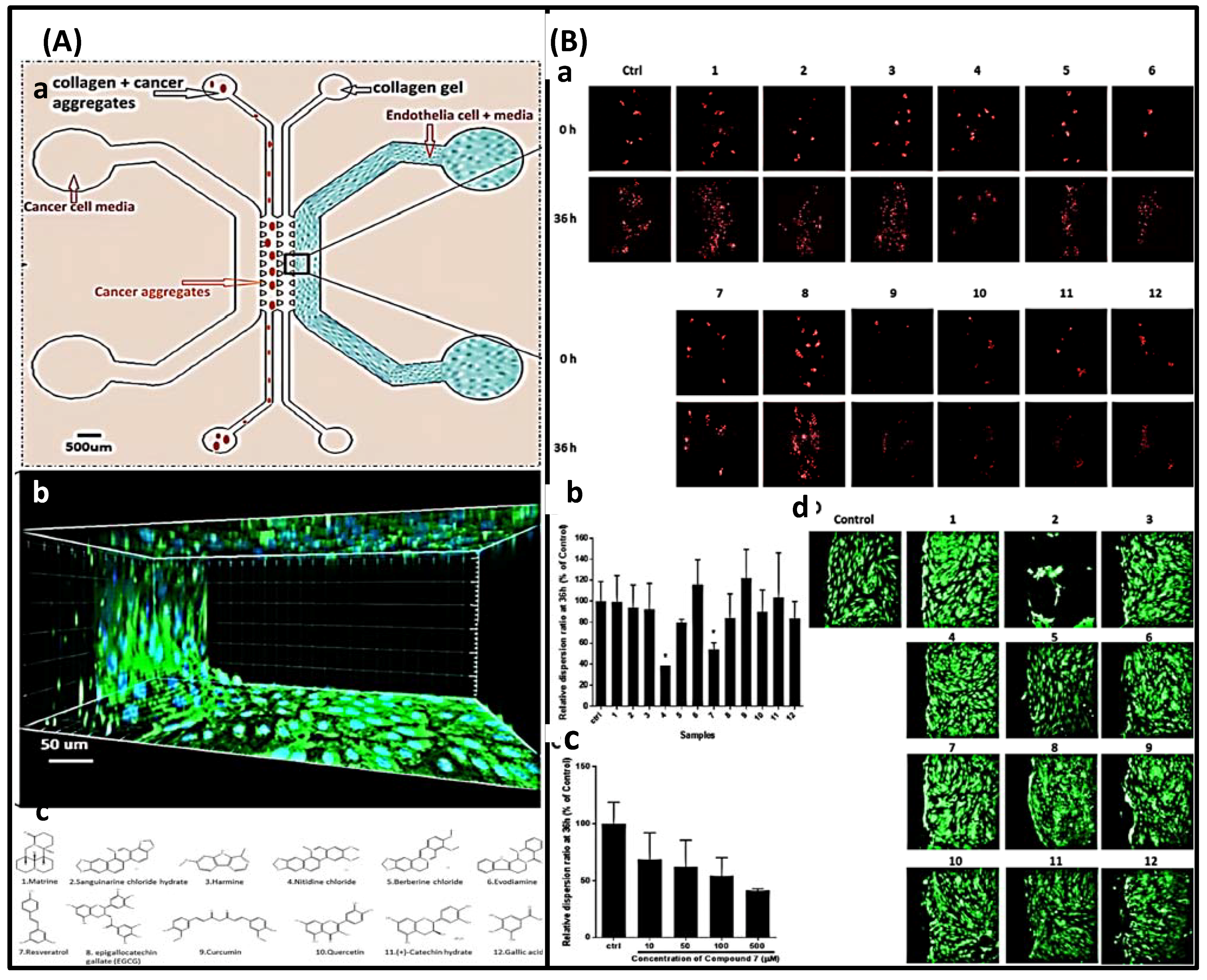Biosensors 12 00870 g015 Biosensors 12 00870 g015