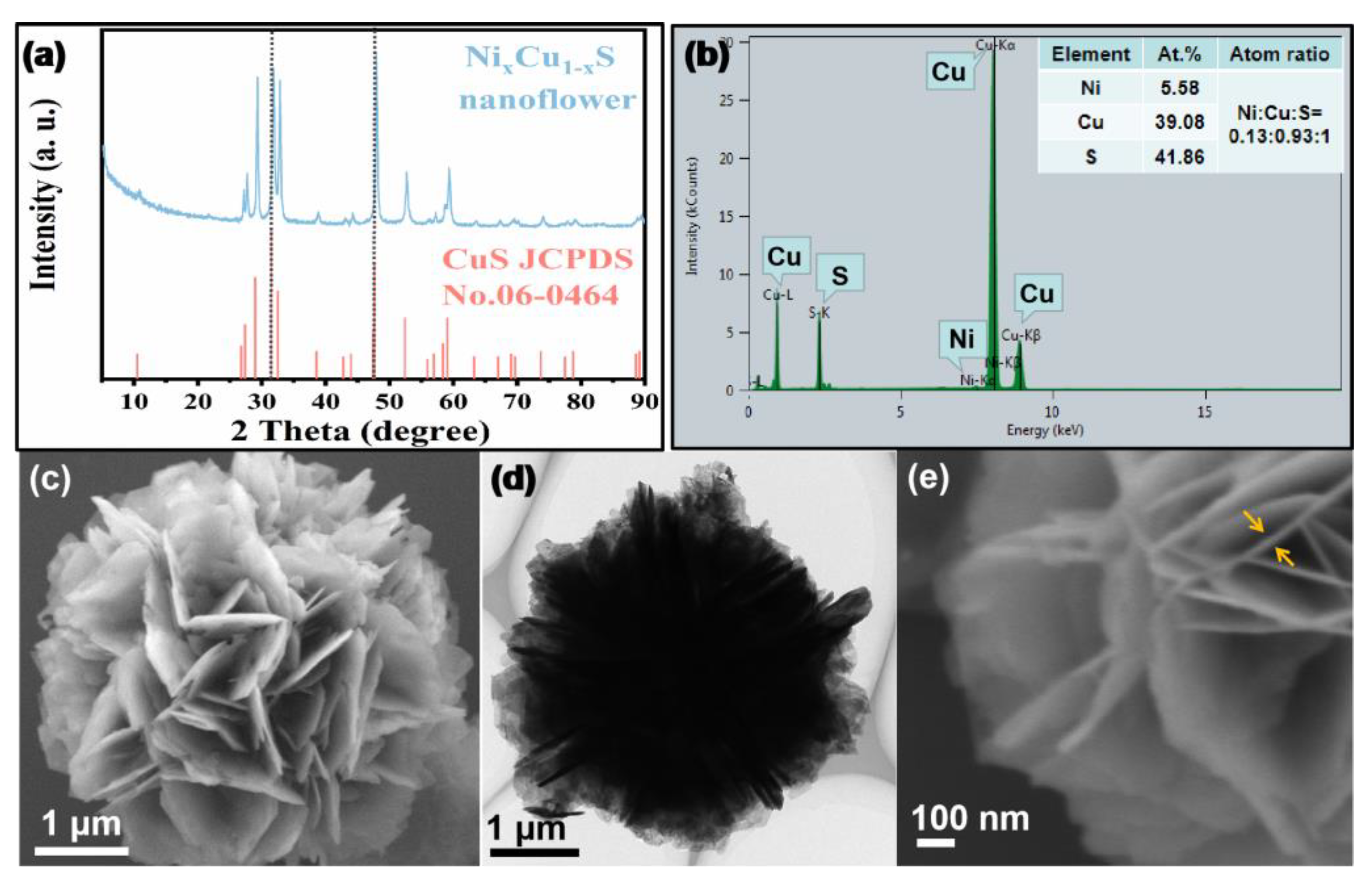 Biosensors 12 00874 g001