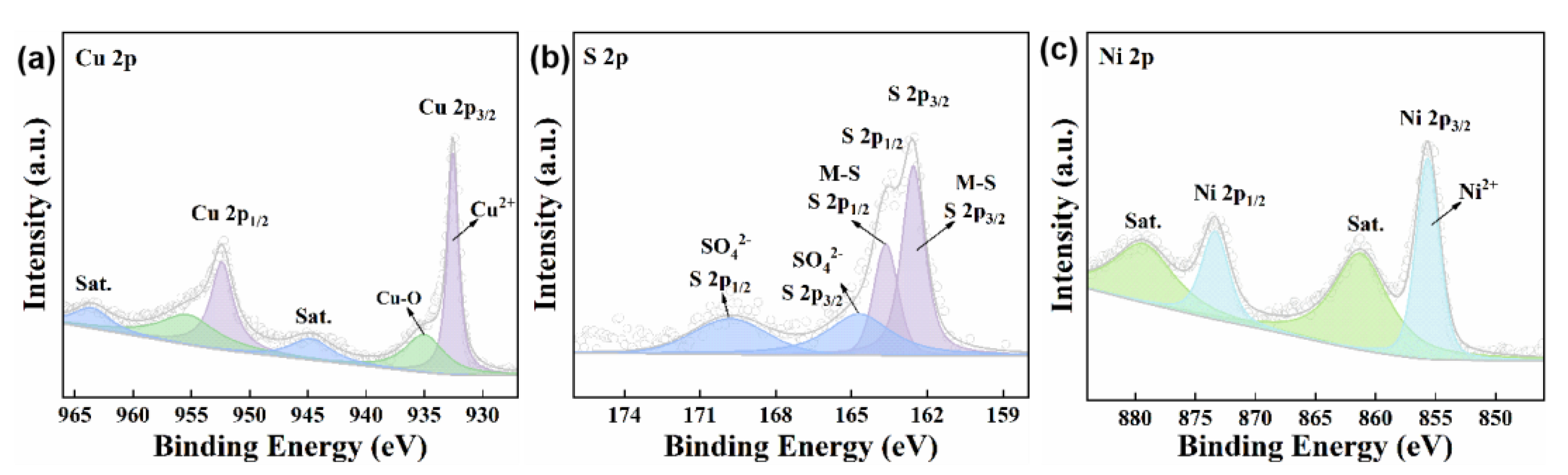 Biosensors 12 00874 g003