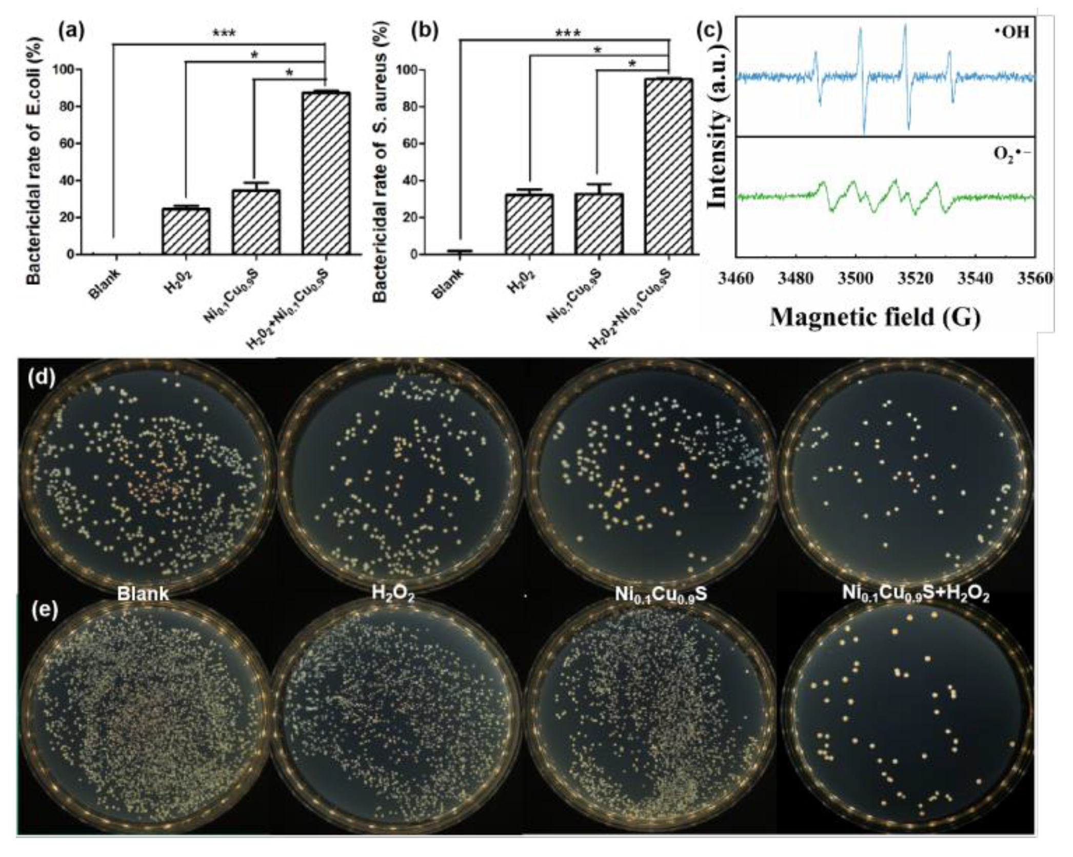Biosensors 12 00874 g005