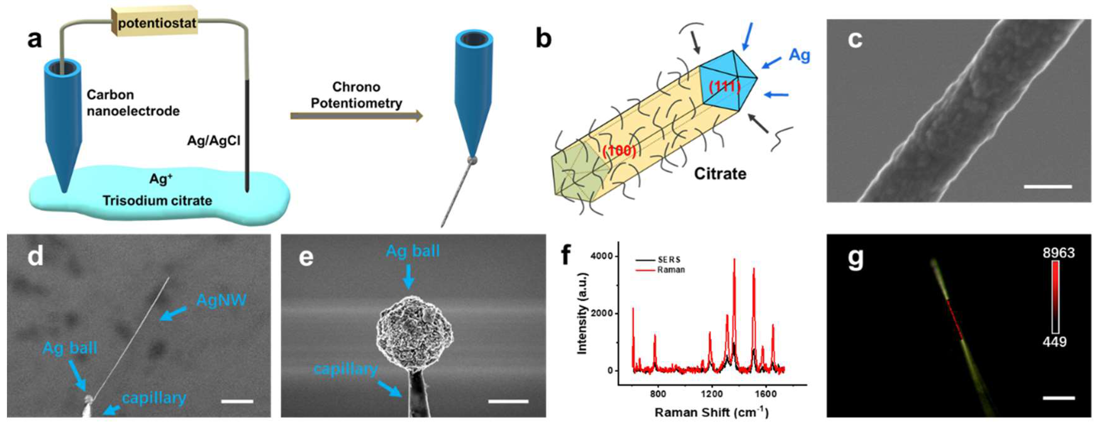 Biosensors 12 00875 g001 Biosensors 12 00875 g001