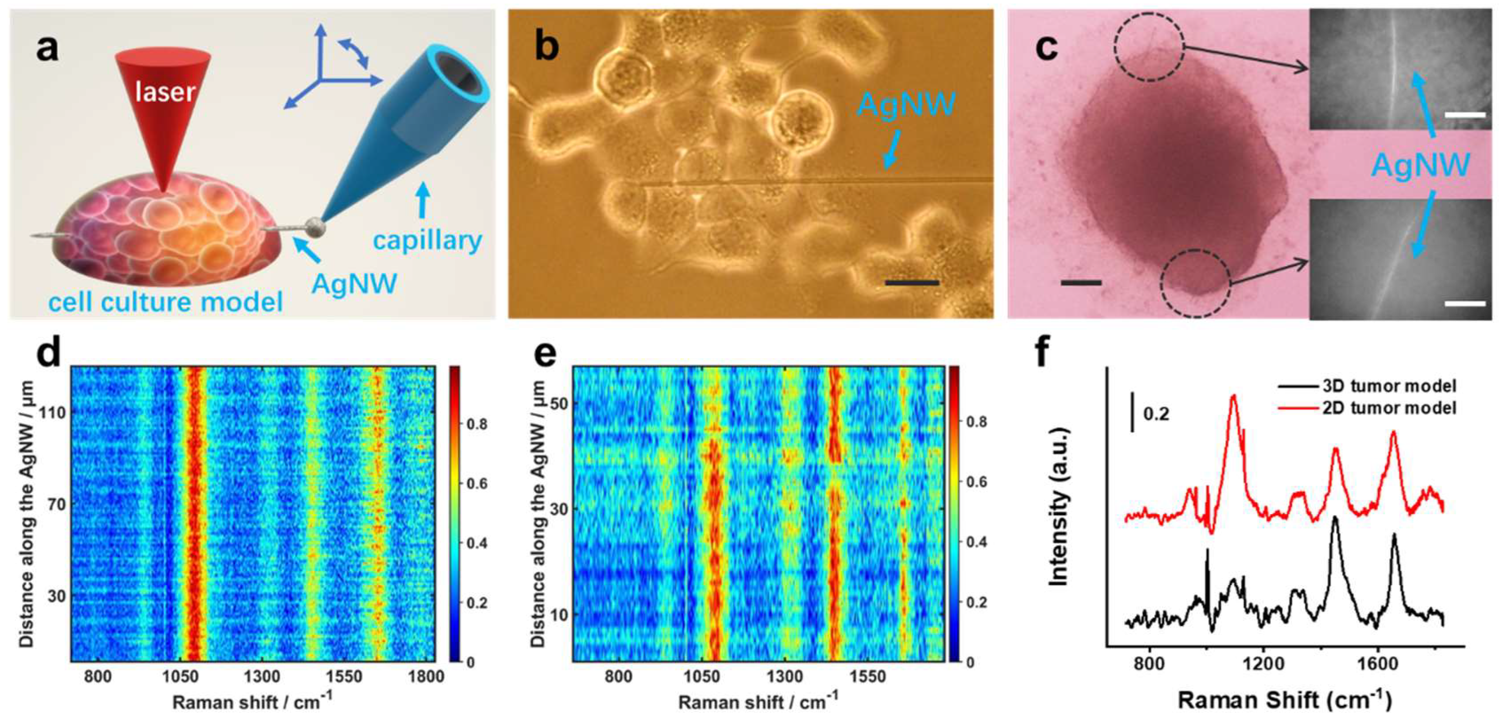 Biosensors 12 00875 g002 Biosensors 12 00875 g002