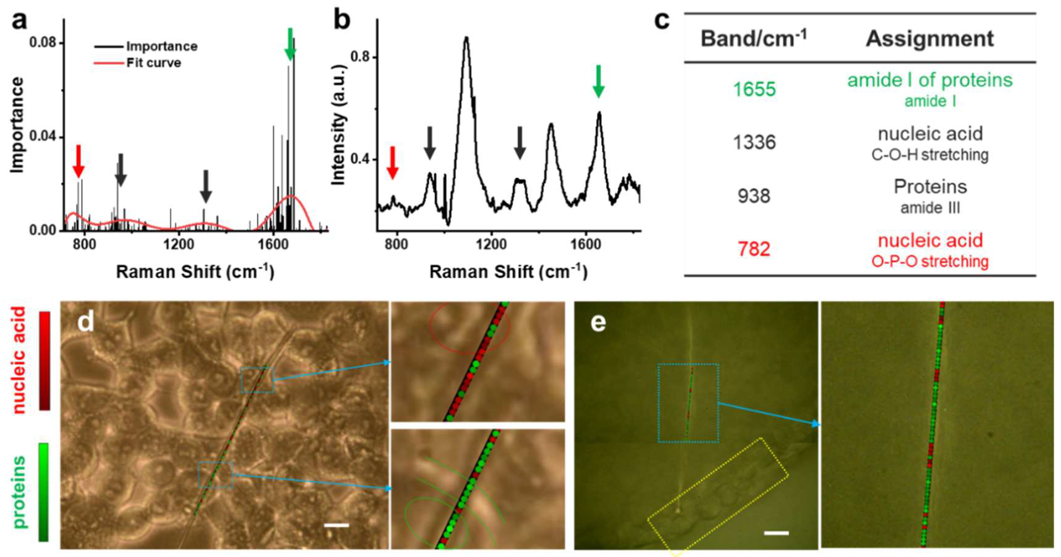 Biosensors 12 00875 g004 Biosensors 12 00875 g004