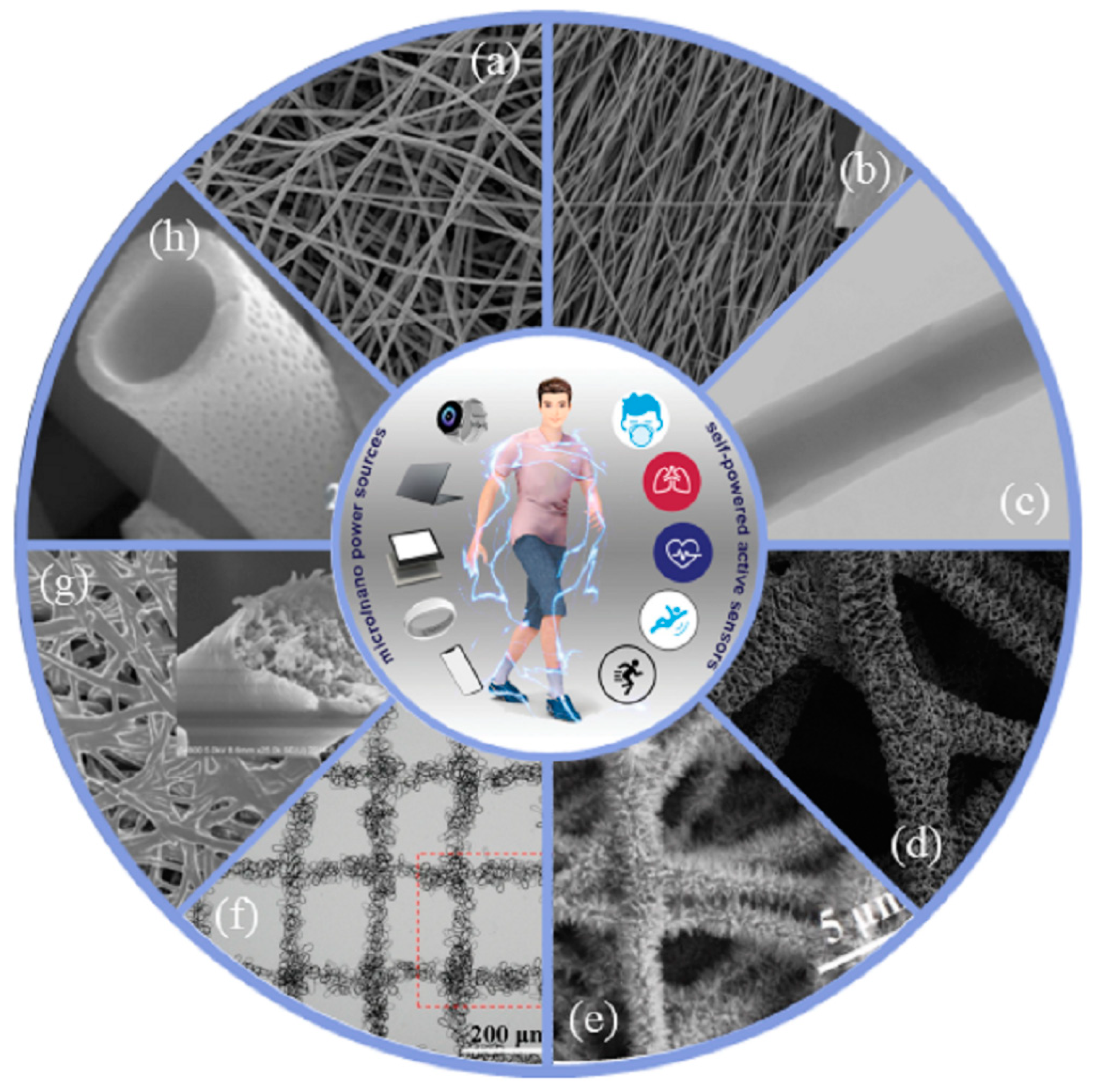 Biosensors 12 00876 g003 Biosensors 12 00876 g003