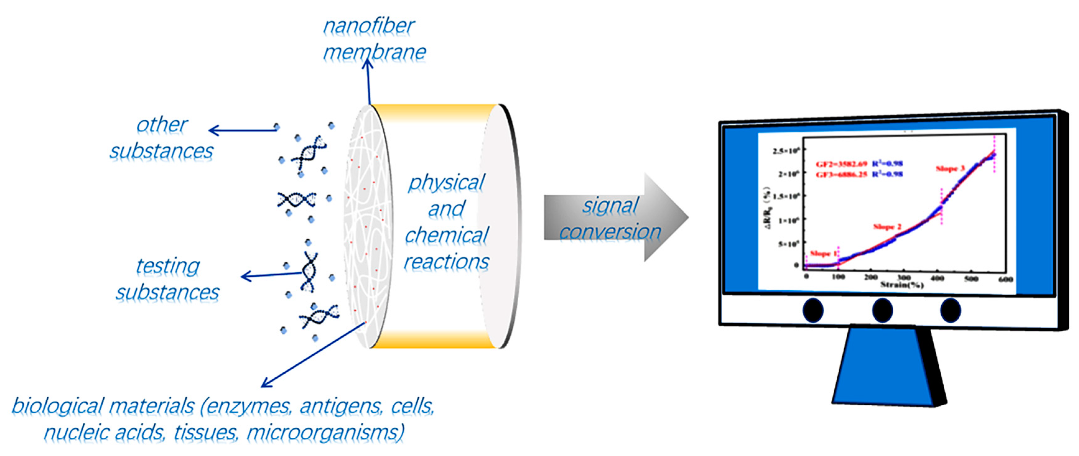 Biosensors 12 00876 g004 Biosensors 12 00876 g004