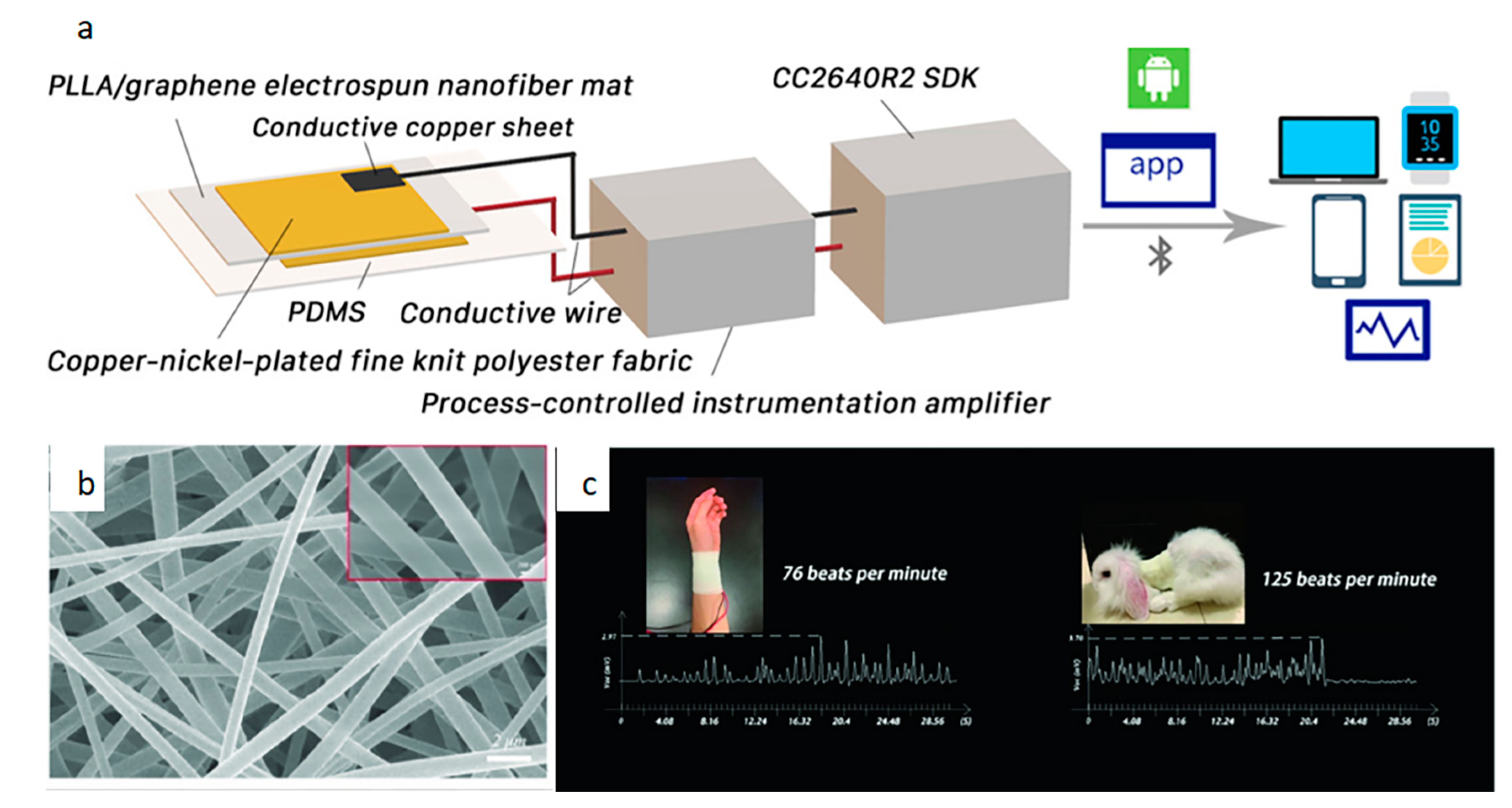Biosensors 12 00876 g006 Biosensors 12 00876 g006