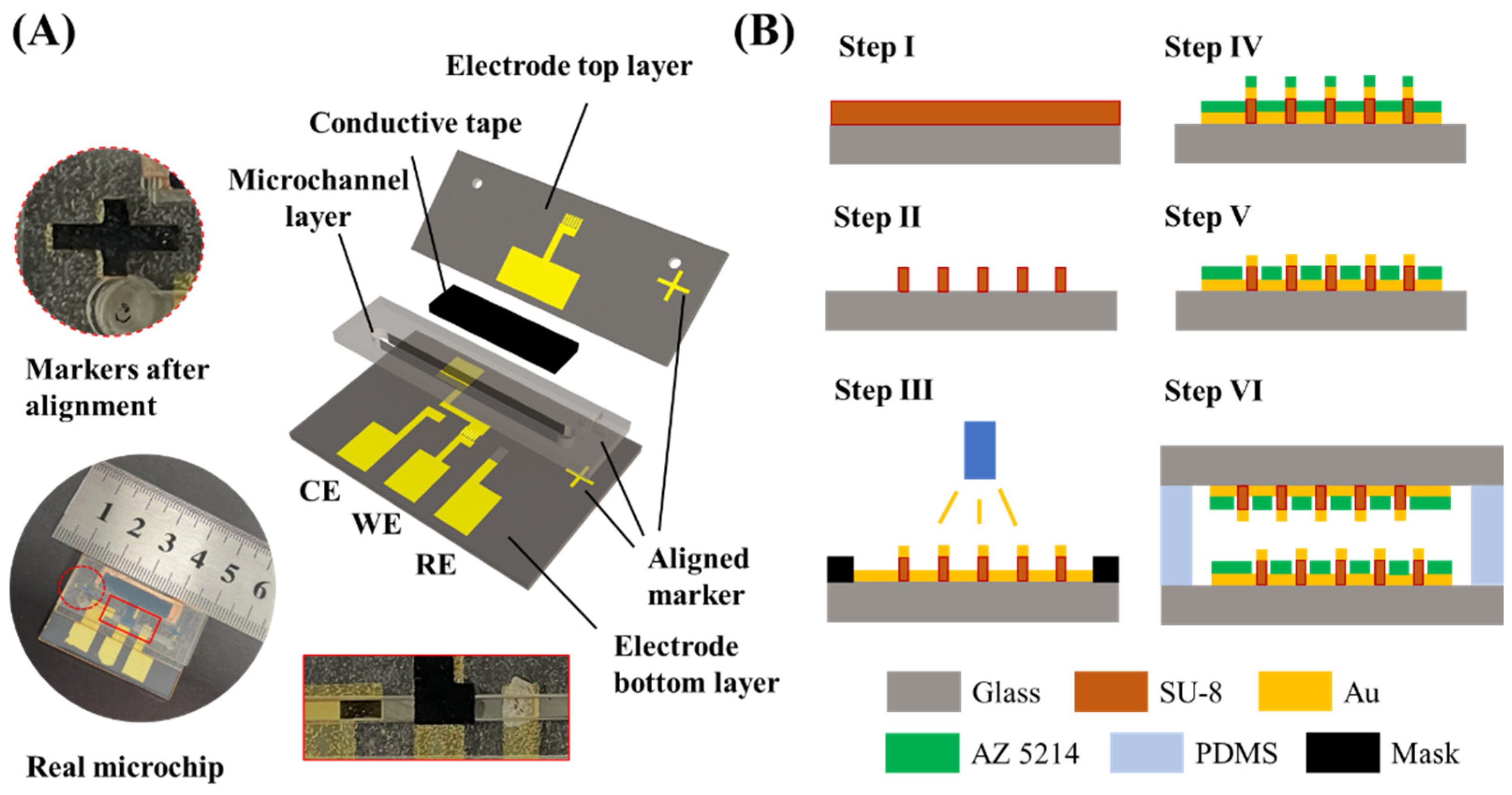 Numerical Study on a Bio-Inspired Micropillar Array