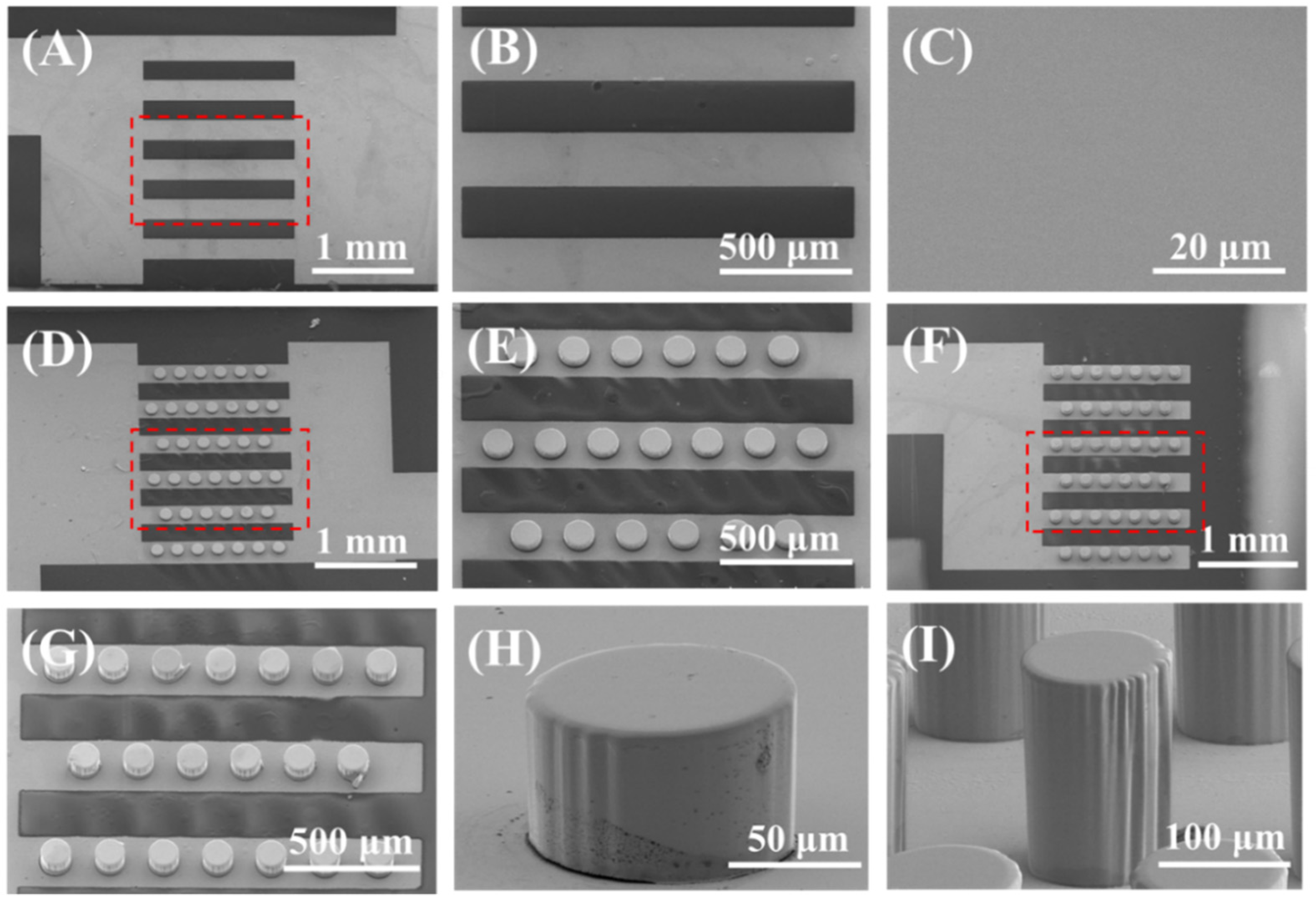 Biosensors 12 00878 g007