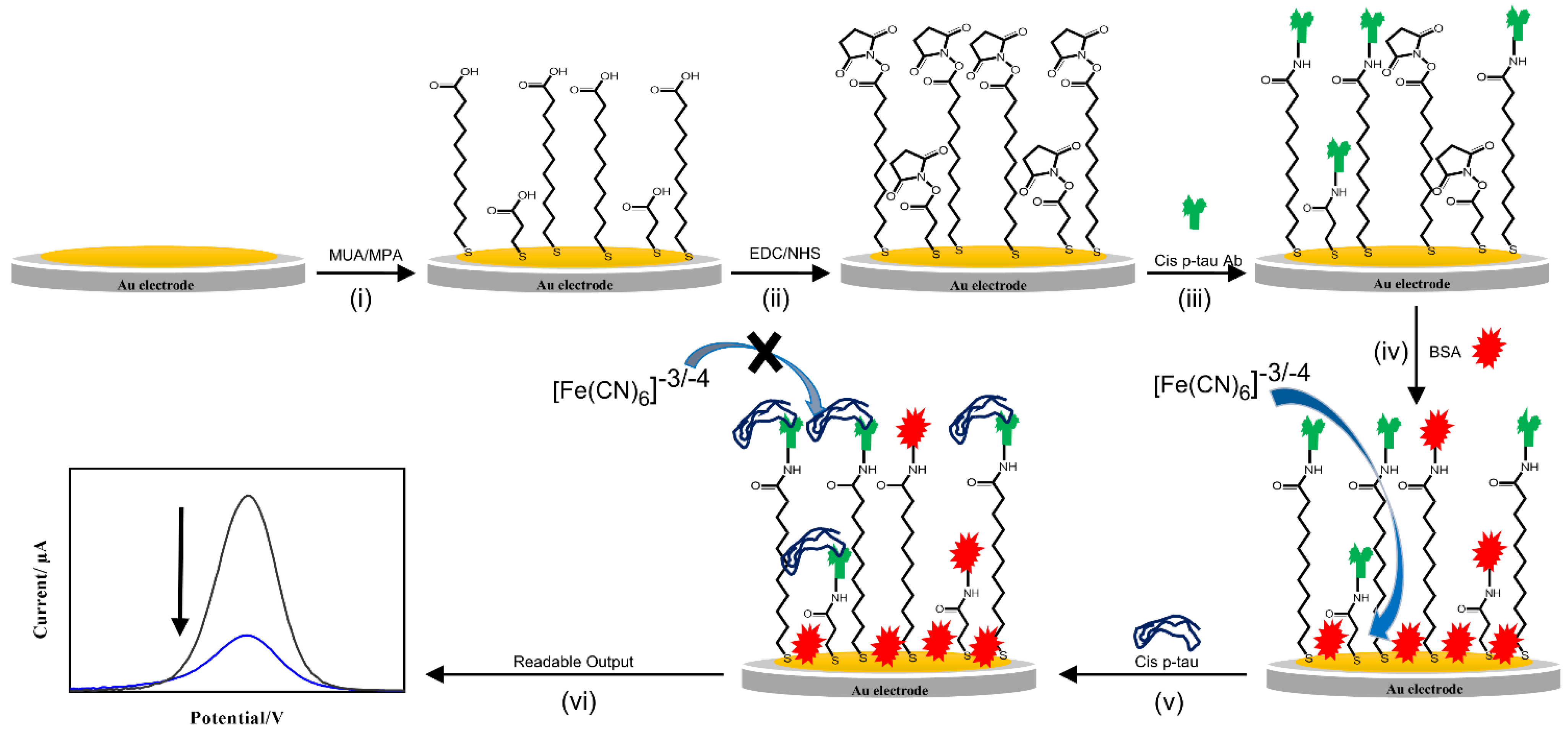 Biosensors 12 00879 g001