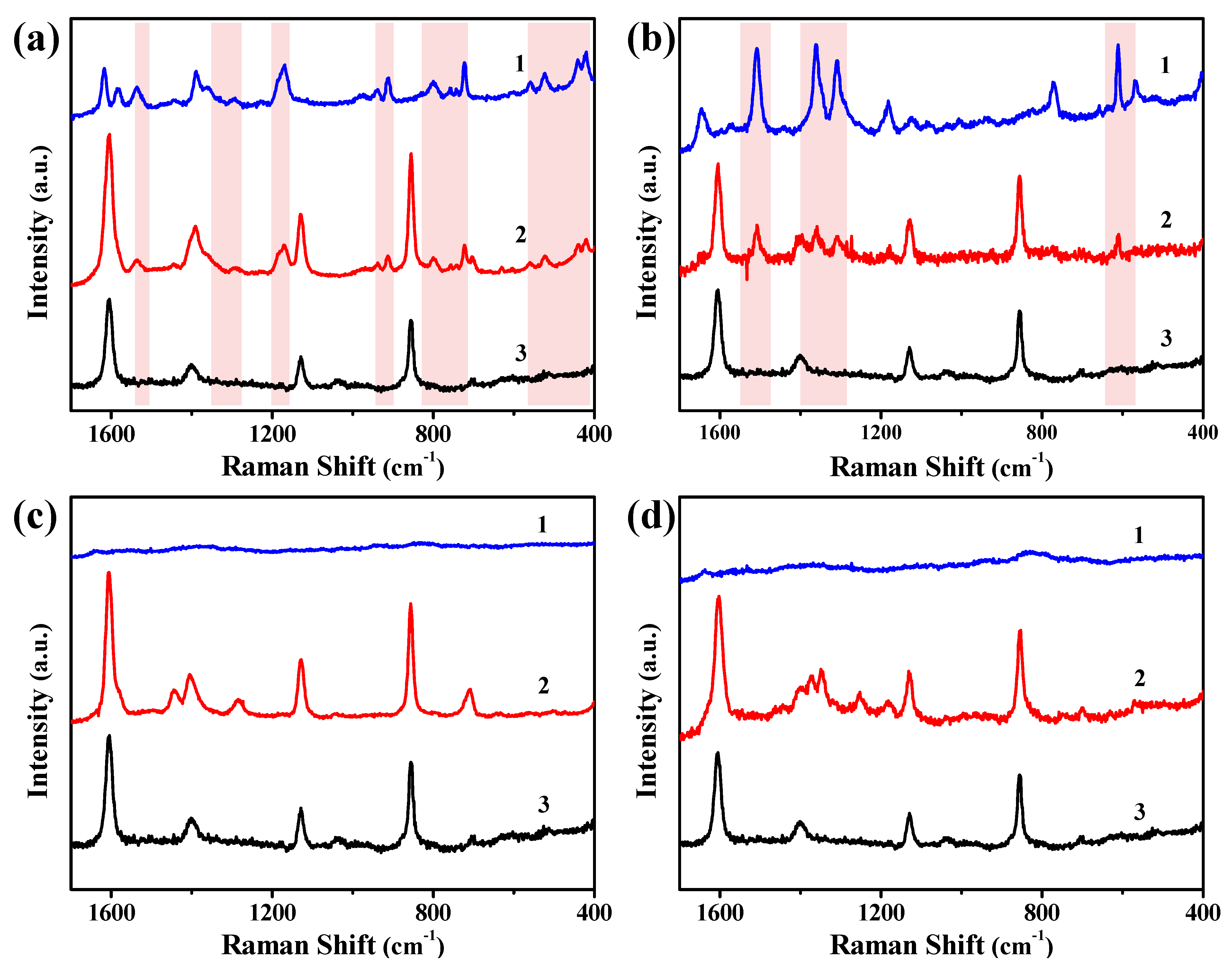 Biosensors 12 00881 g003 Biosensors 12 00881 g003