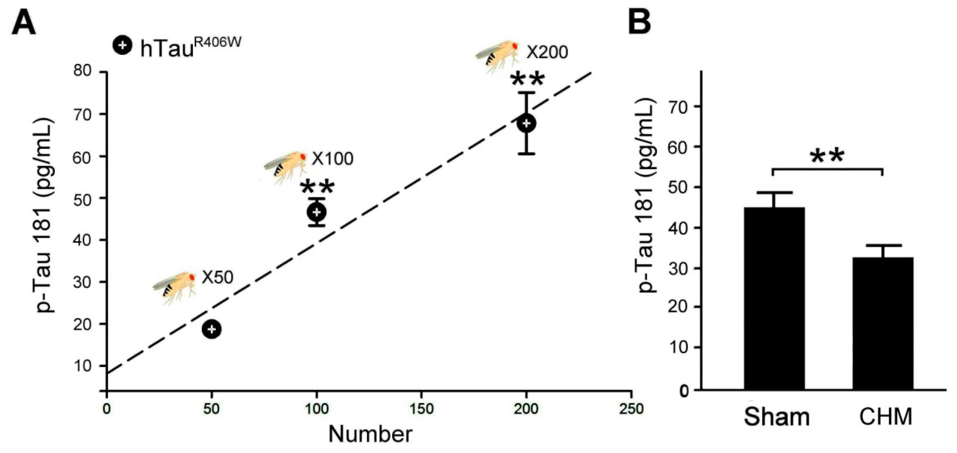 Biosensors 12 00883 g003
