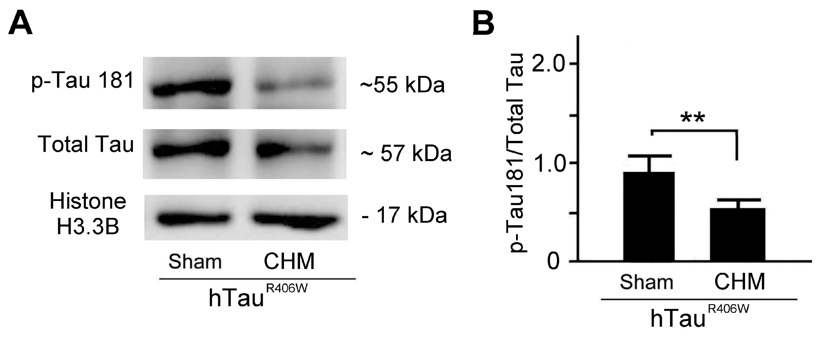 Biosensors 12 00883 g005