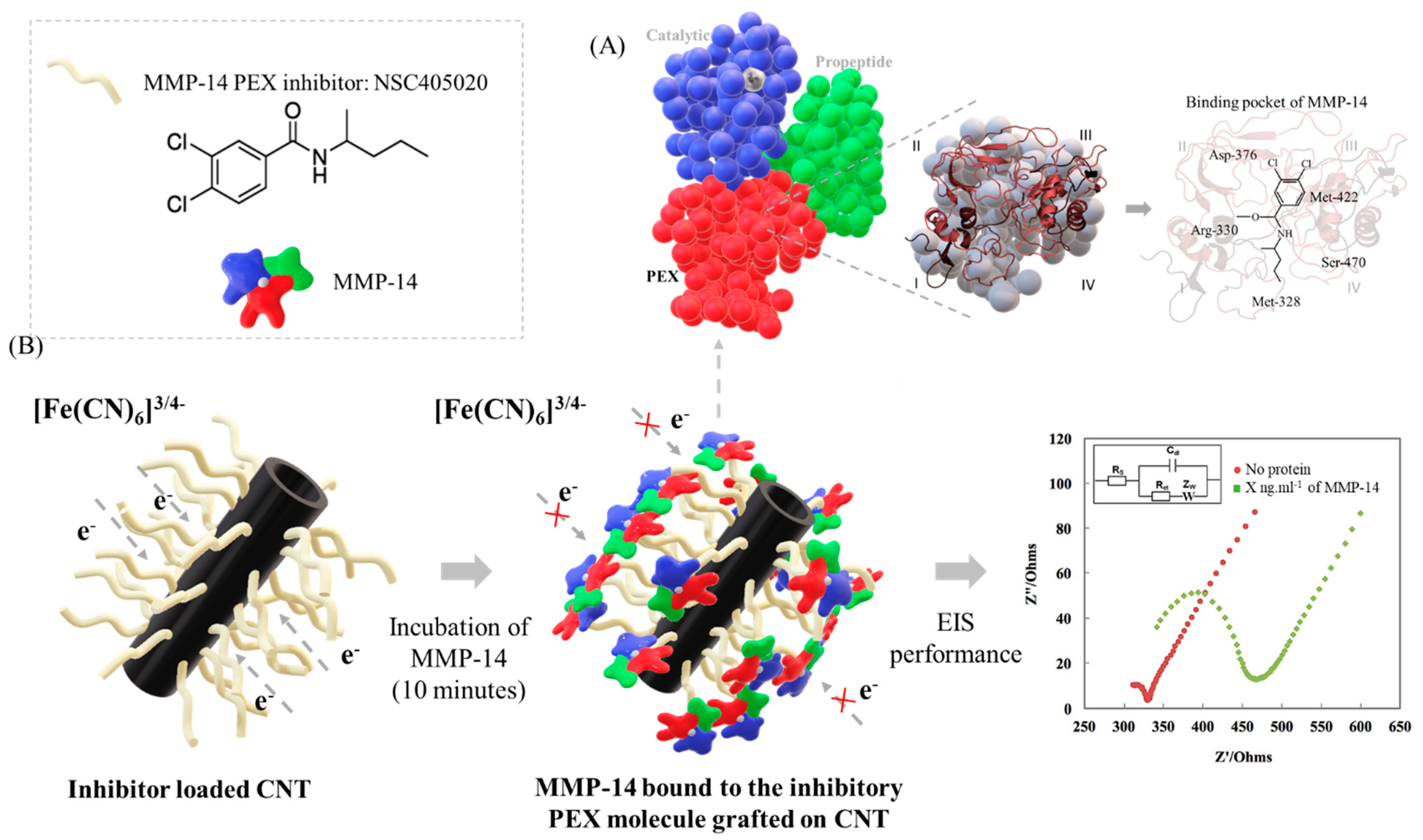 Biosensors 12 00884 g004 Biosensors 12 00884 g004