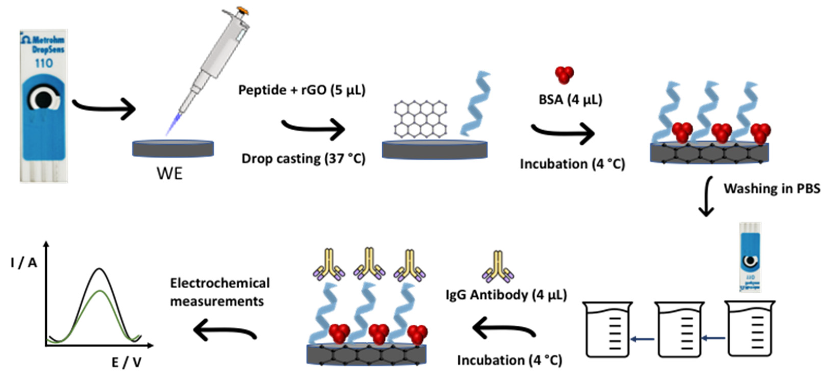 Biosensors 12 00885 g001 Biosensors 12 00885 g001