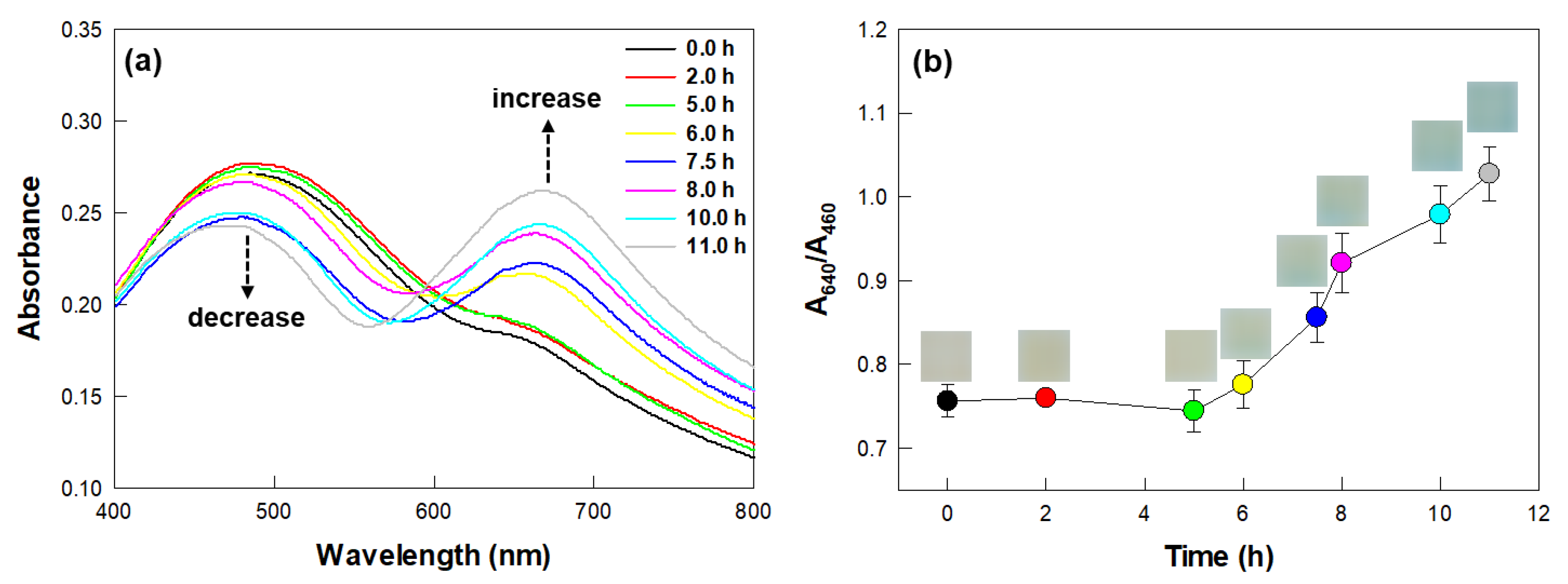 Biosensors 12 00886 g003 Biosensors 12 00886 g003