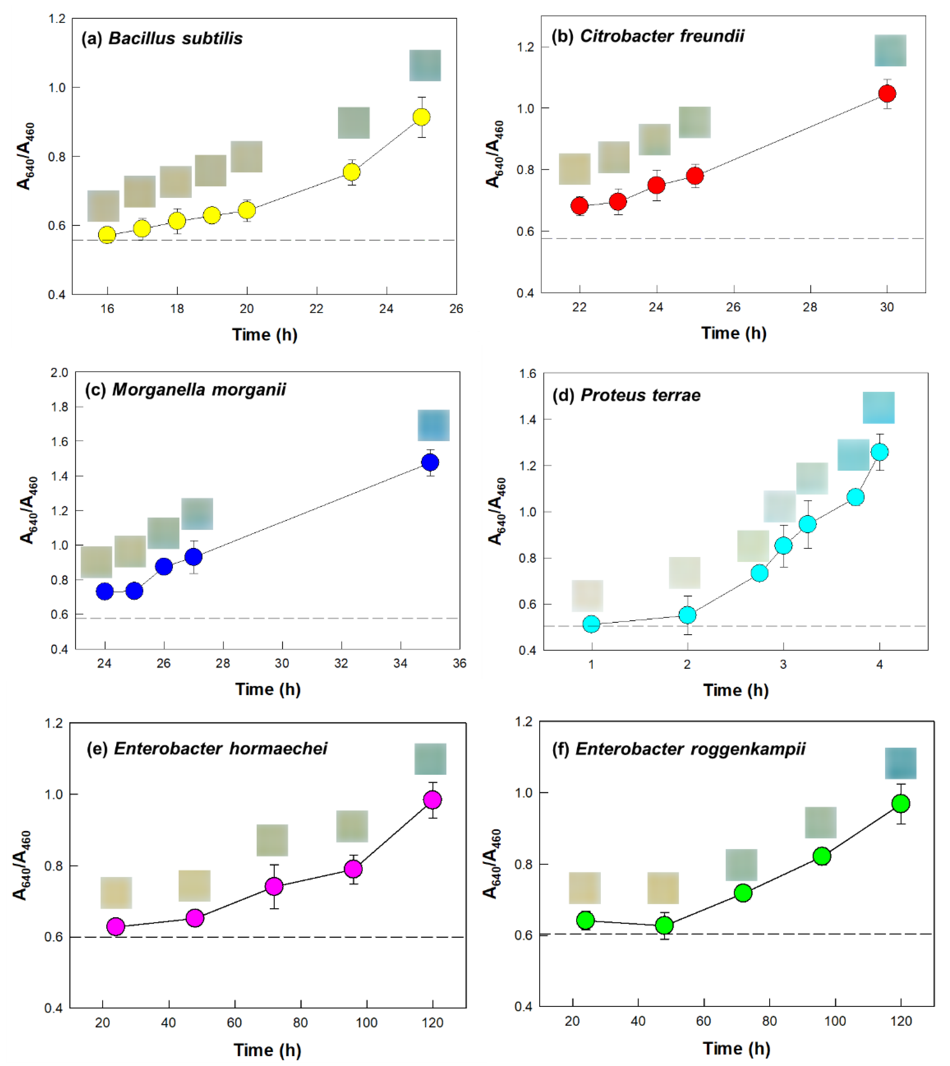 Biosensors 12 00886 g004 Biosensors 12 00886 g004