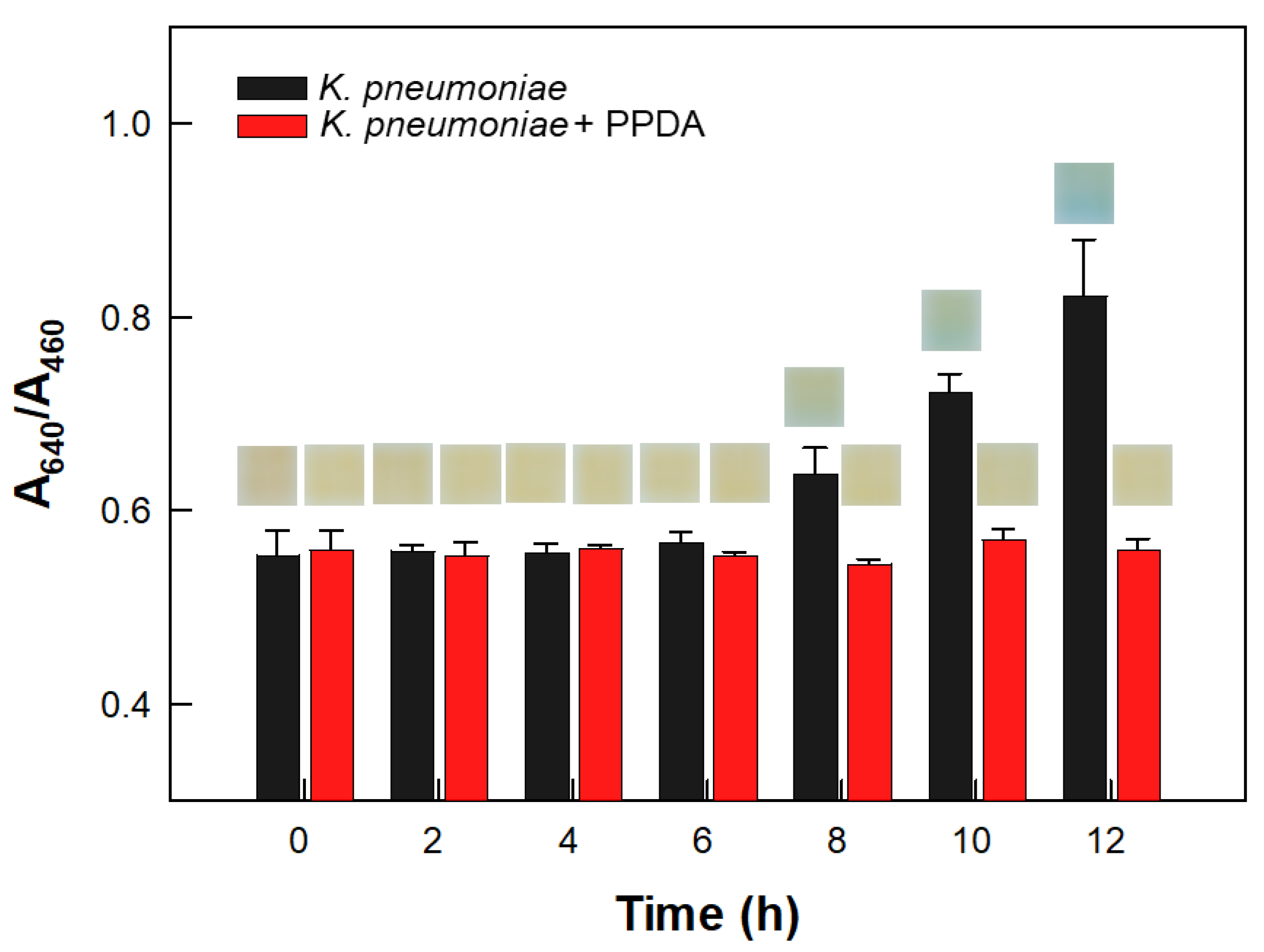 Biosensors 12 00886 g005 Biosensors 12 00886 g005