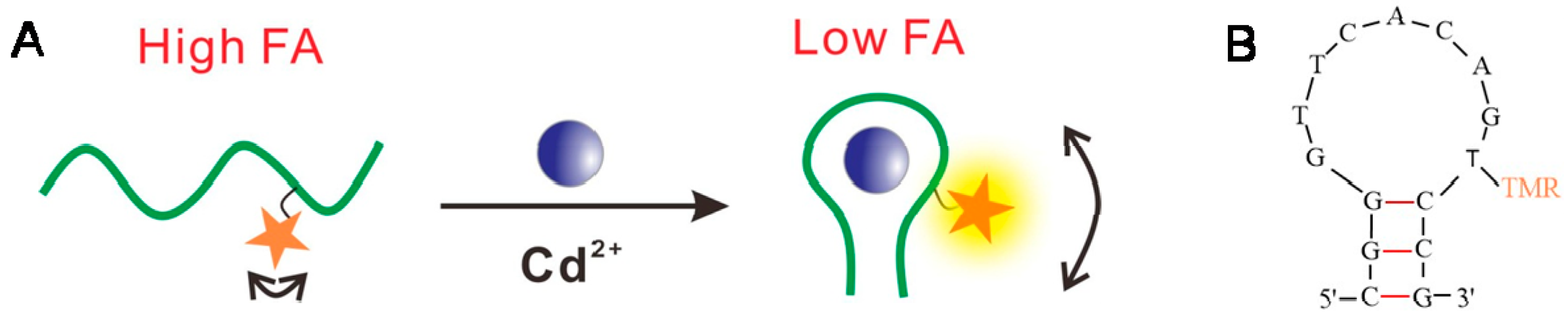 Biosensors 12 00887 g001 Biosensors 12 00887 g001