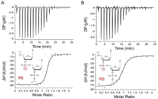 A Sensitive Aptamer Fluorescence Anisotropy Sensor for Cd2+