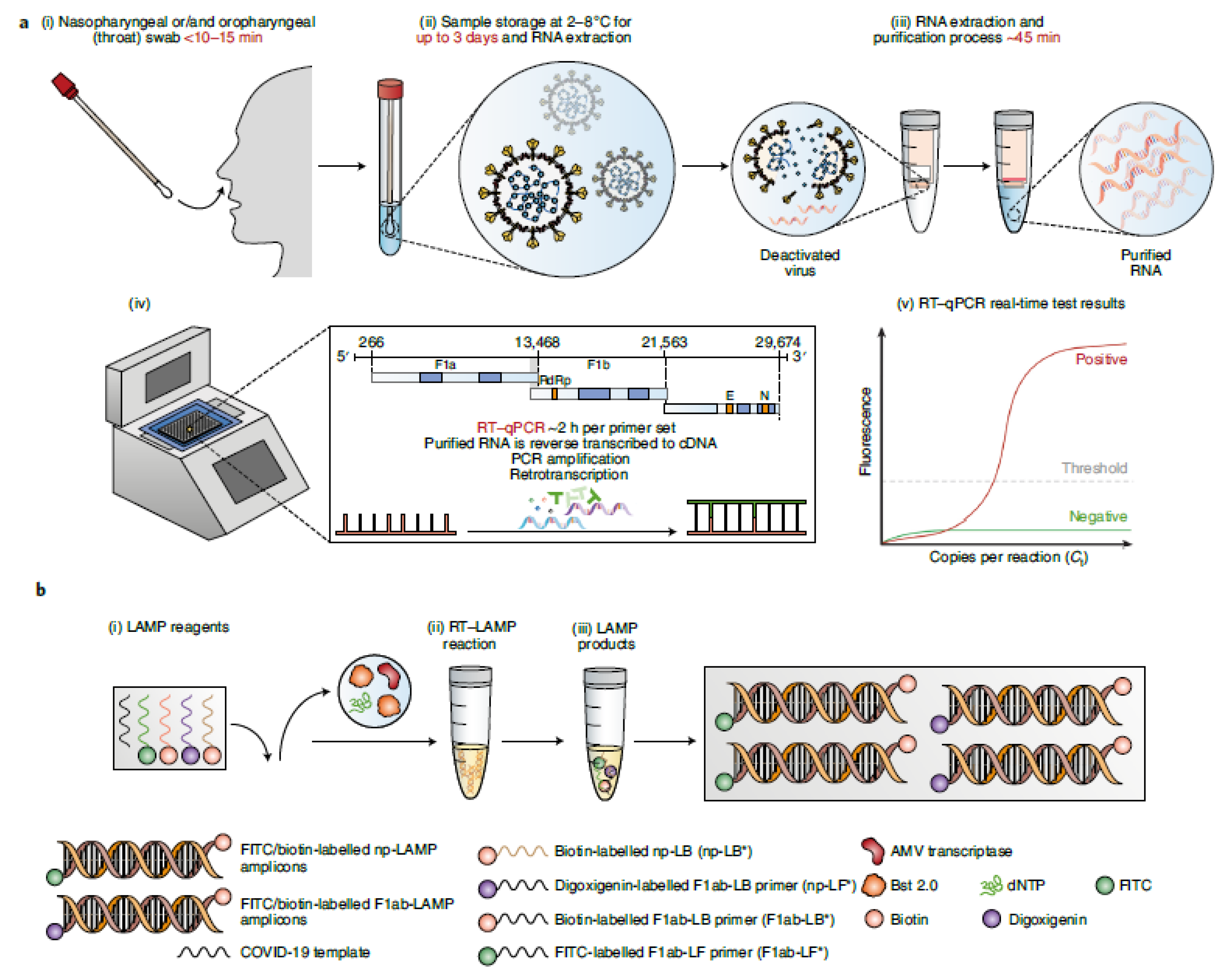 Biosensors 12 00890 g005