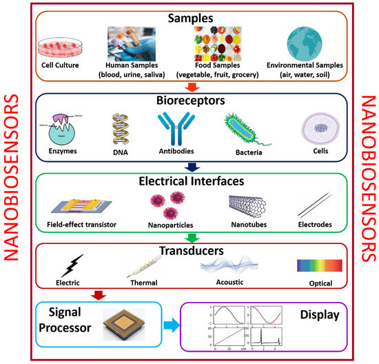 Recent Advancements in Nanobiosensors: Current Trends