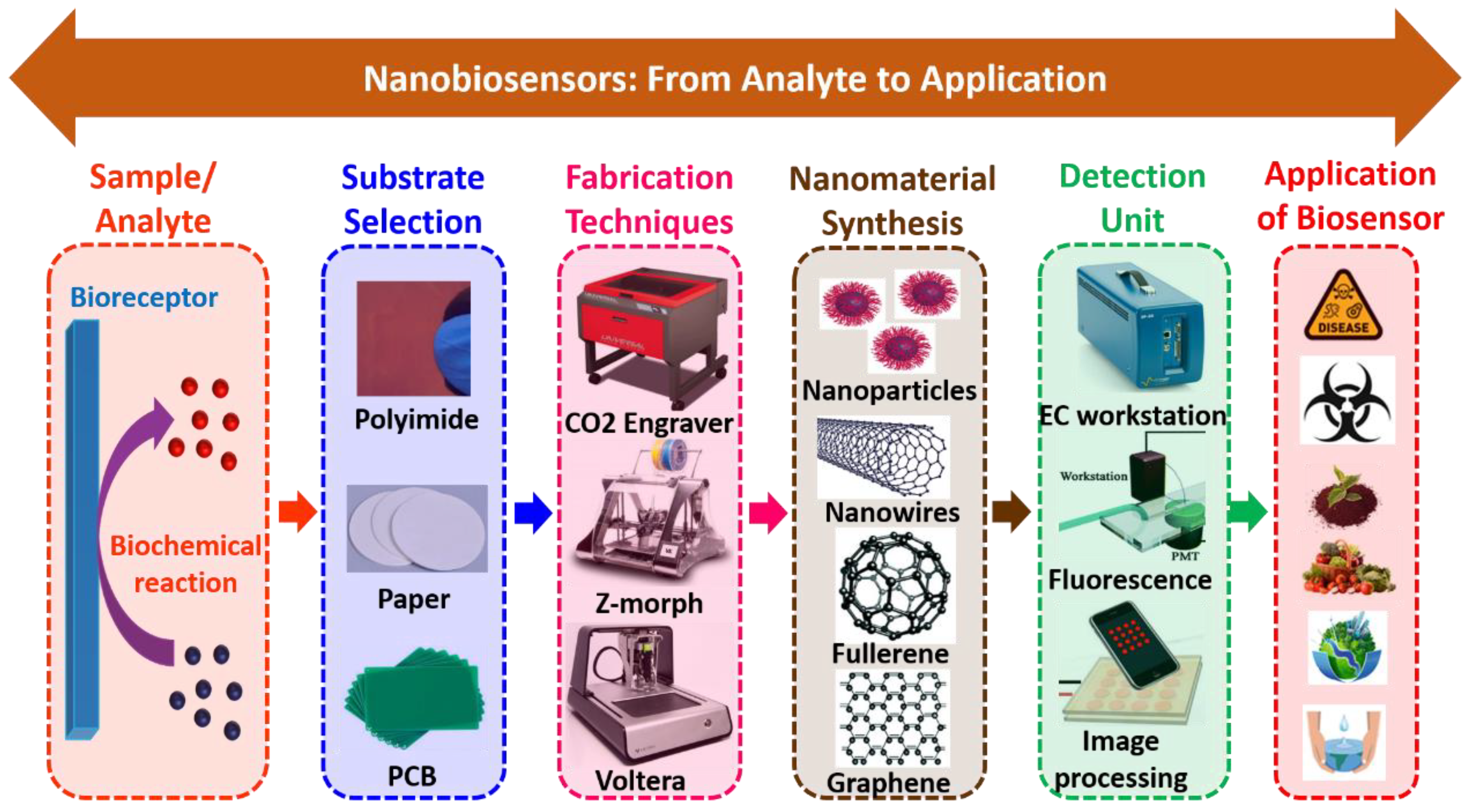 Biosensors 12 00892 g005