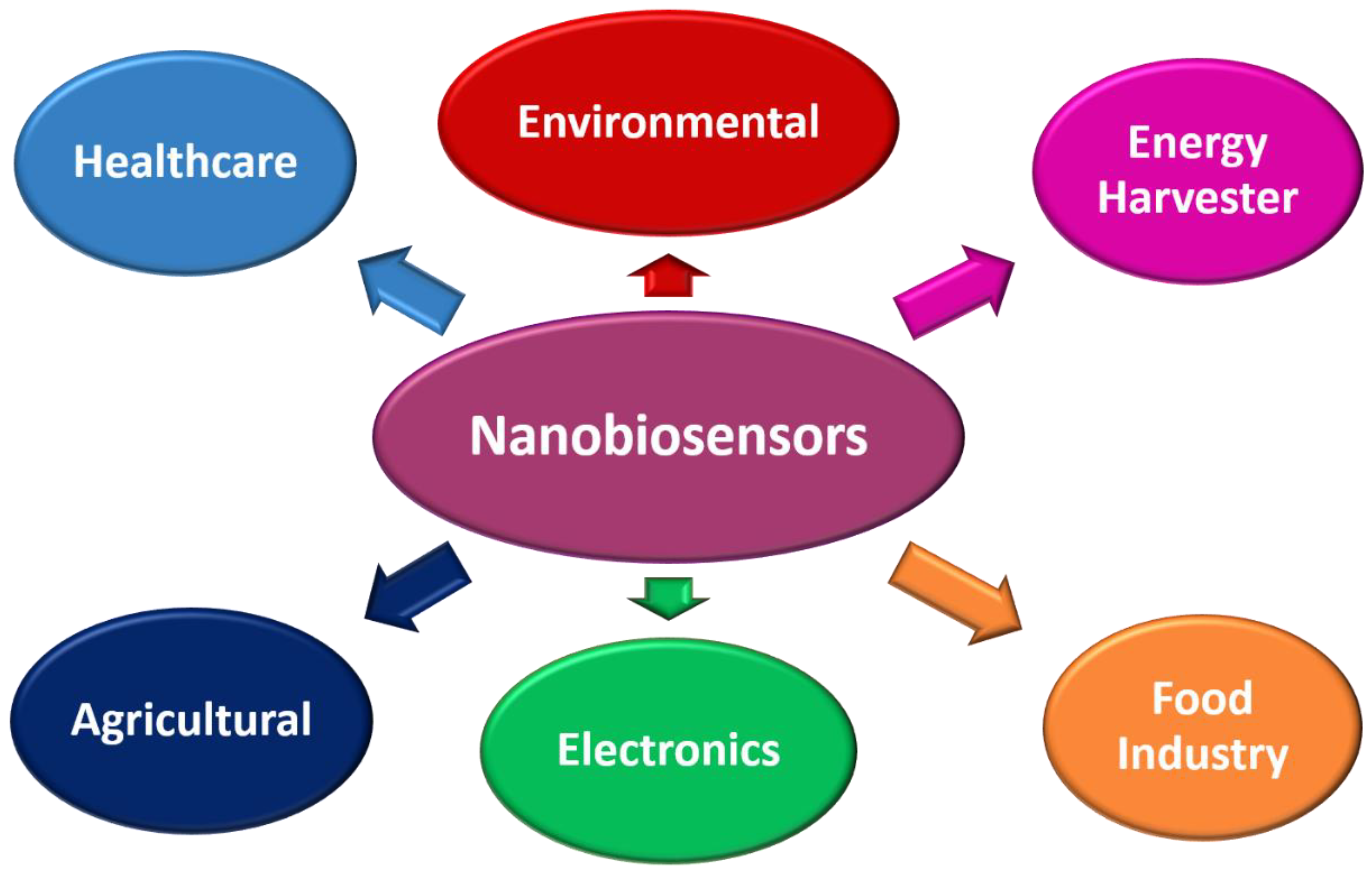 Biosensors 12 00892 g006