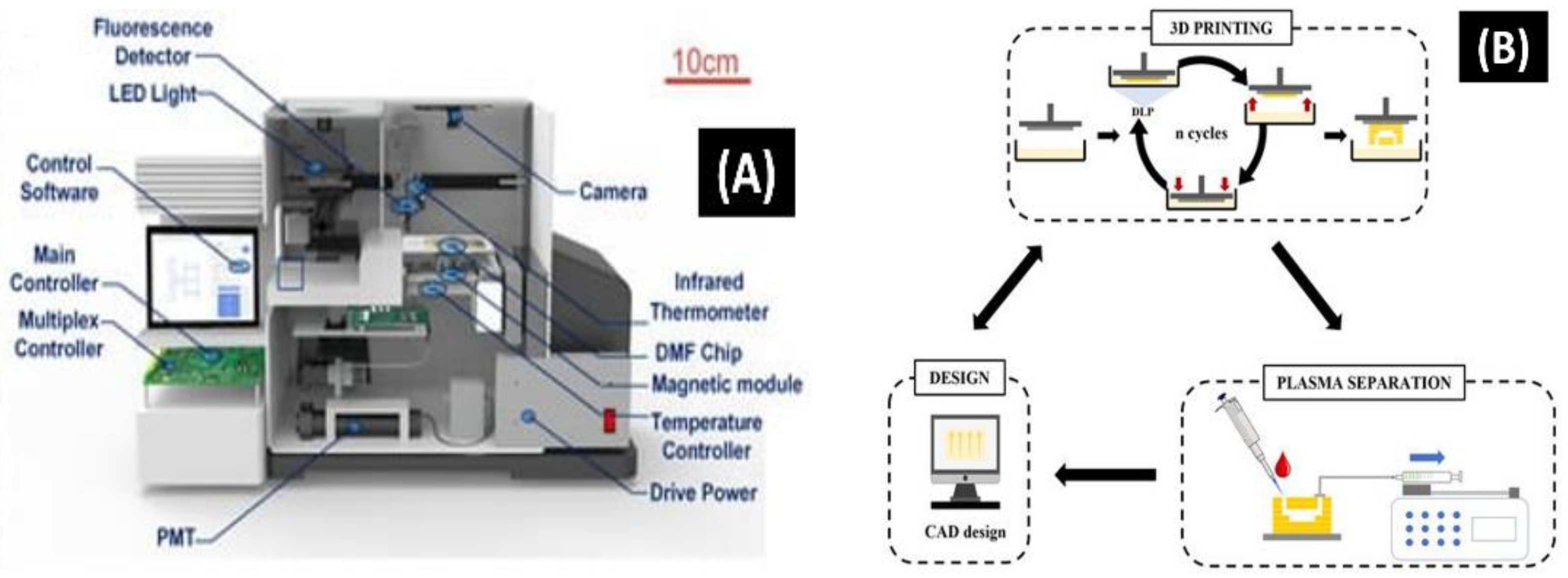 Biosensors 12 00892 g008
