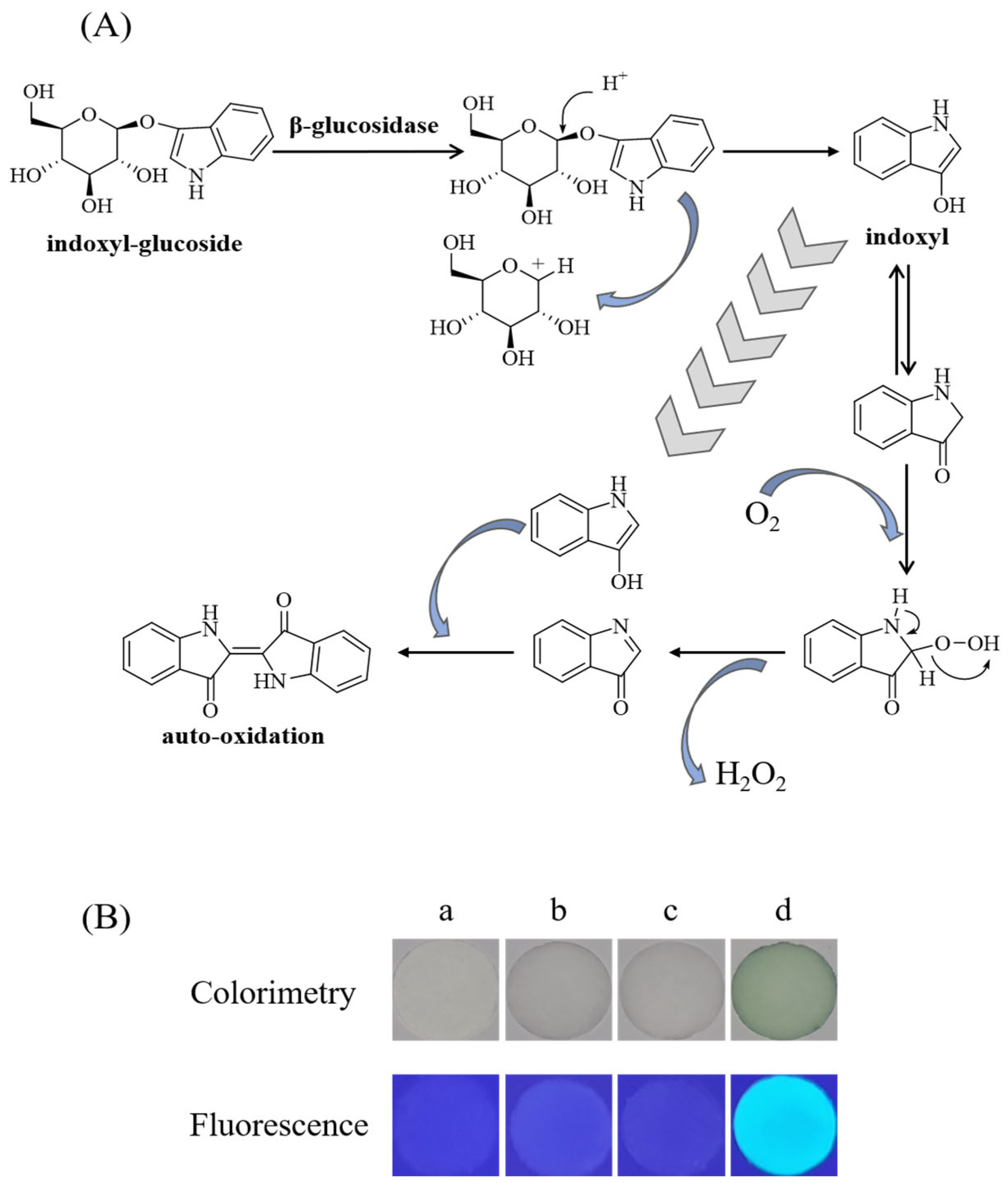 Biosensors 12 00893 g003 Biosensors 12 00893 g003