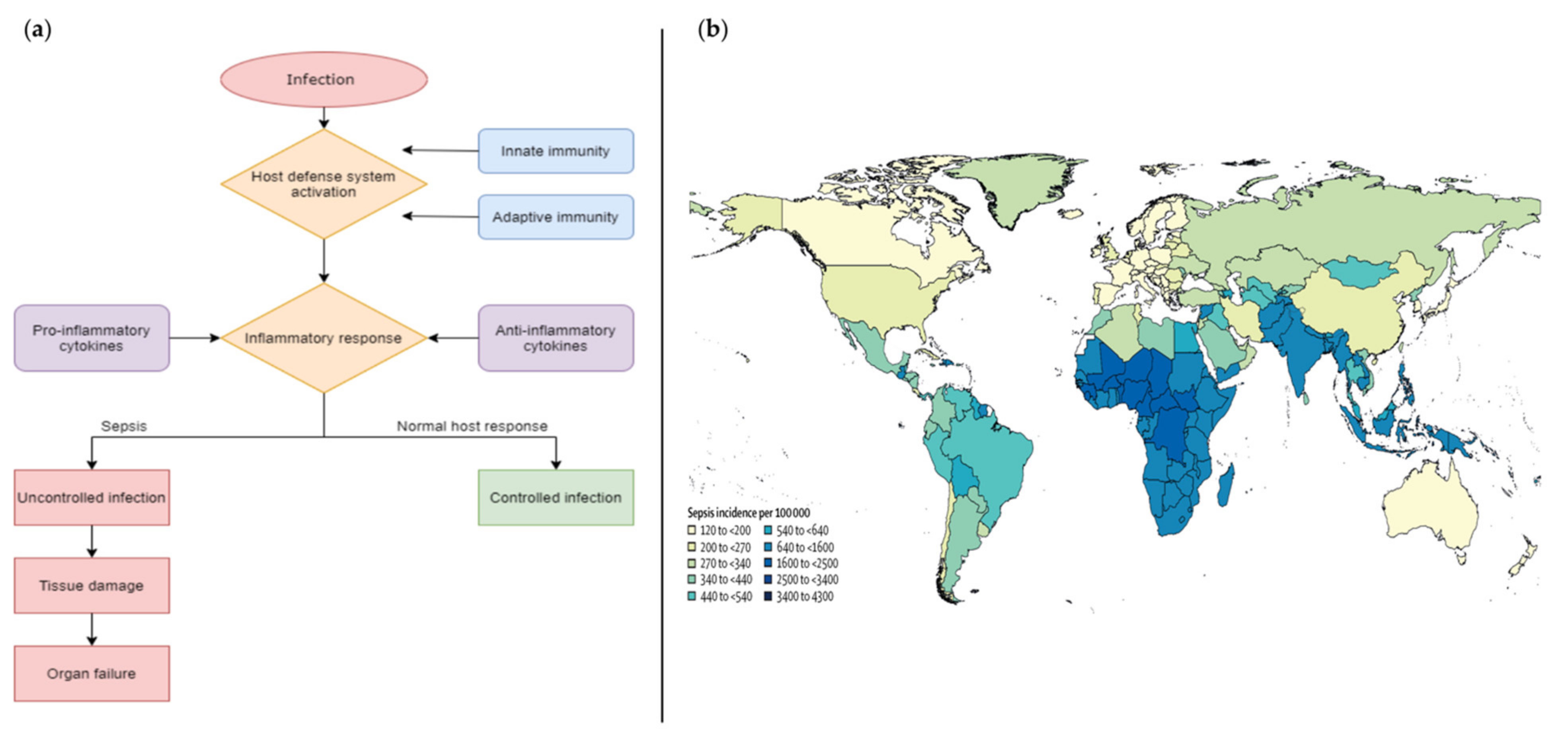 Biosensors 12 00894 g001 Biosensors 12 00894 g001