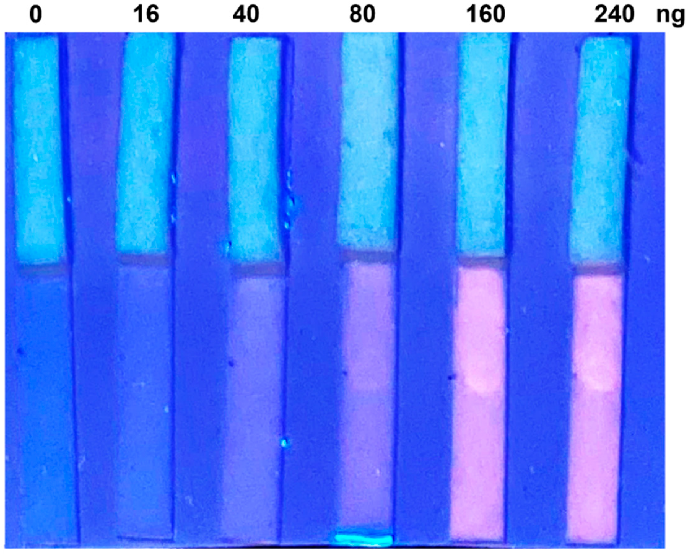 Biosensors 12 00896 g003 Biosensors 12 00896 g003