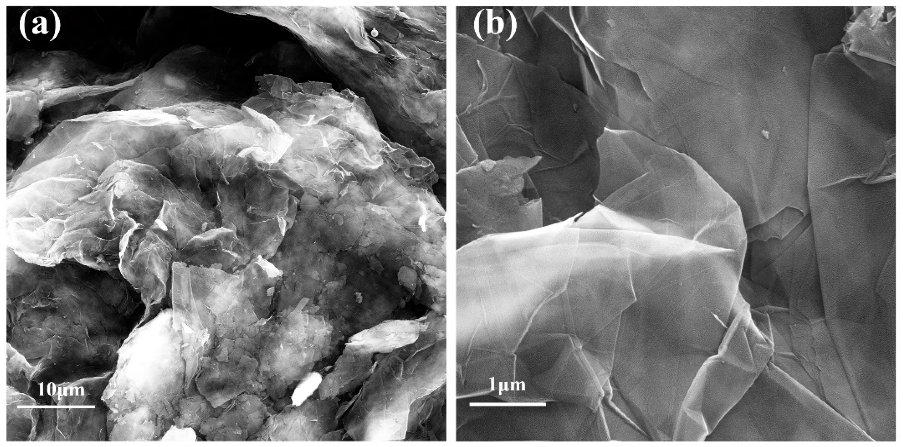 Biosensors 12 00899 g002