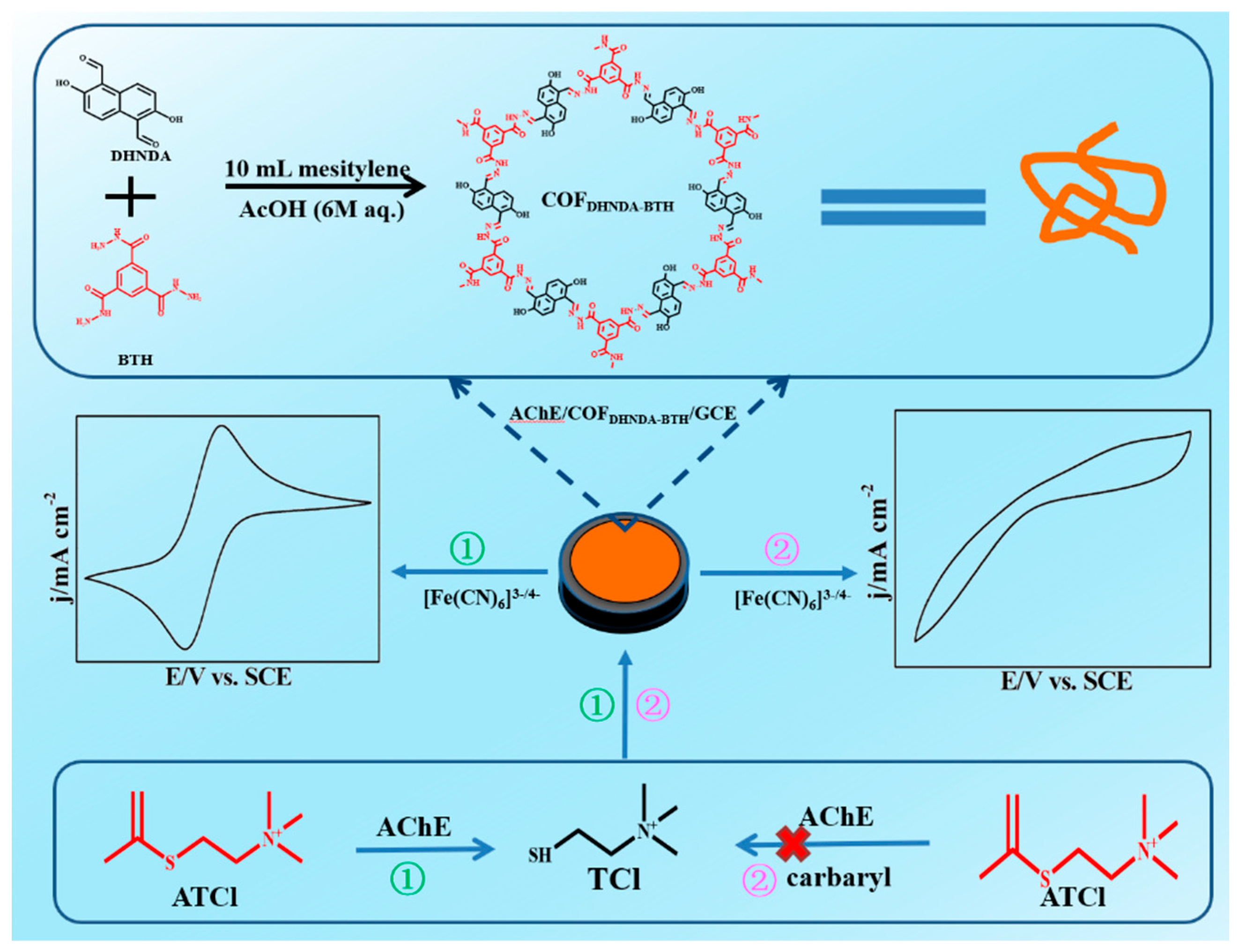 Biosensors Free FullText A Novel PaperBased Electrochemical