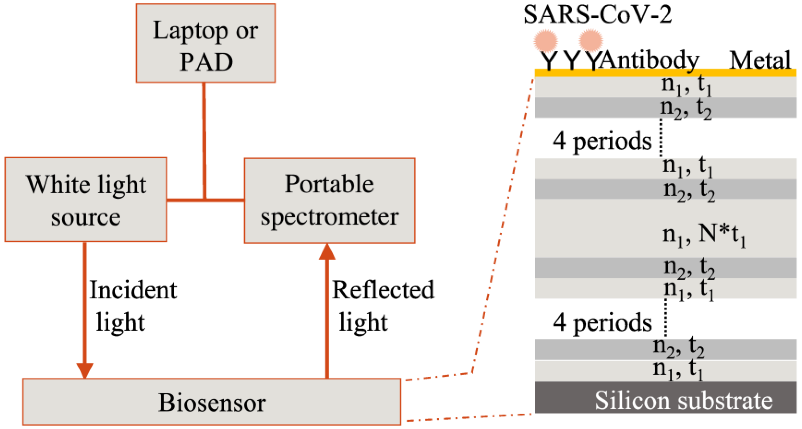 Biosensors 12 00900 g002