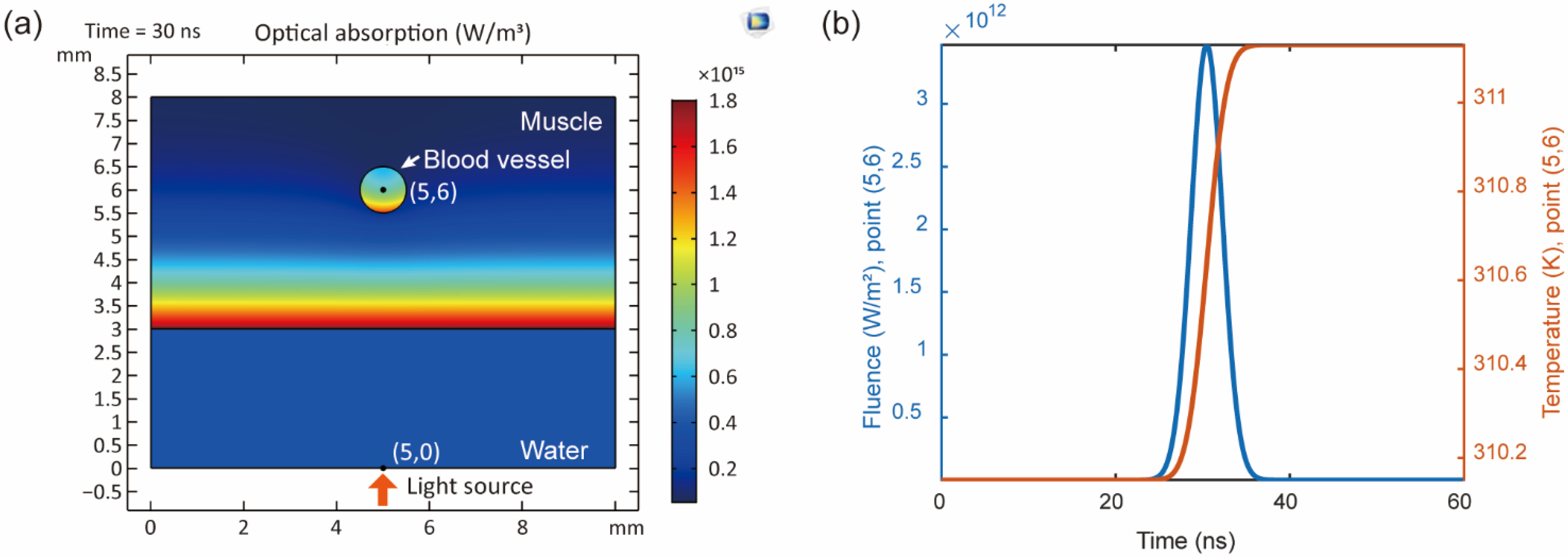 Biosensors 12 00900 g006