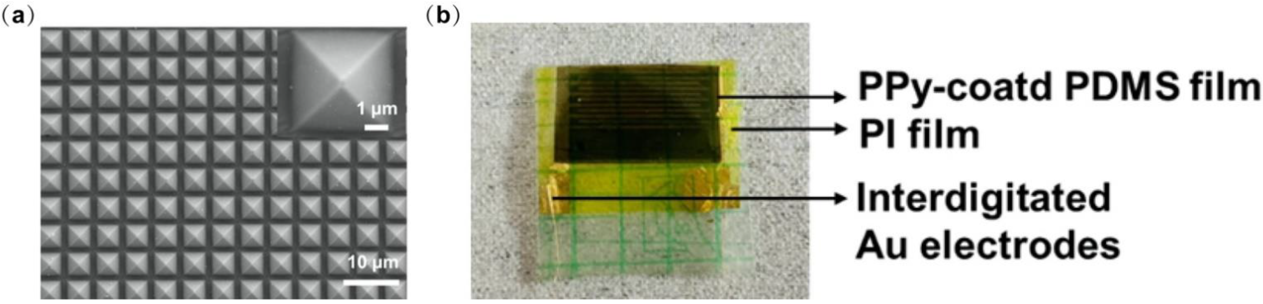 Biosensors 12 00900 g008