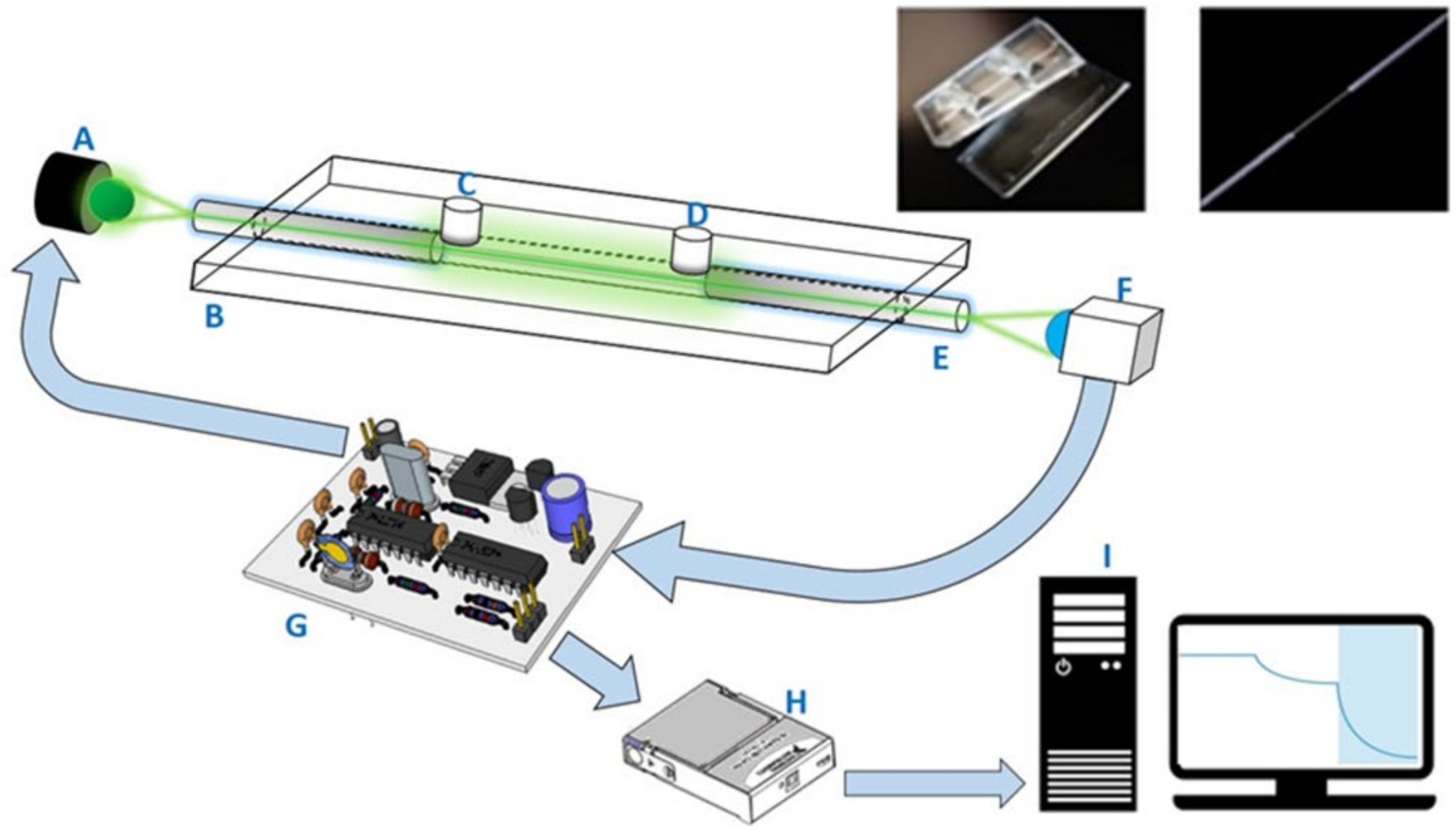 Biosensors 12 00907 g001