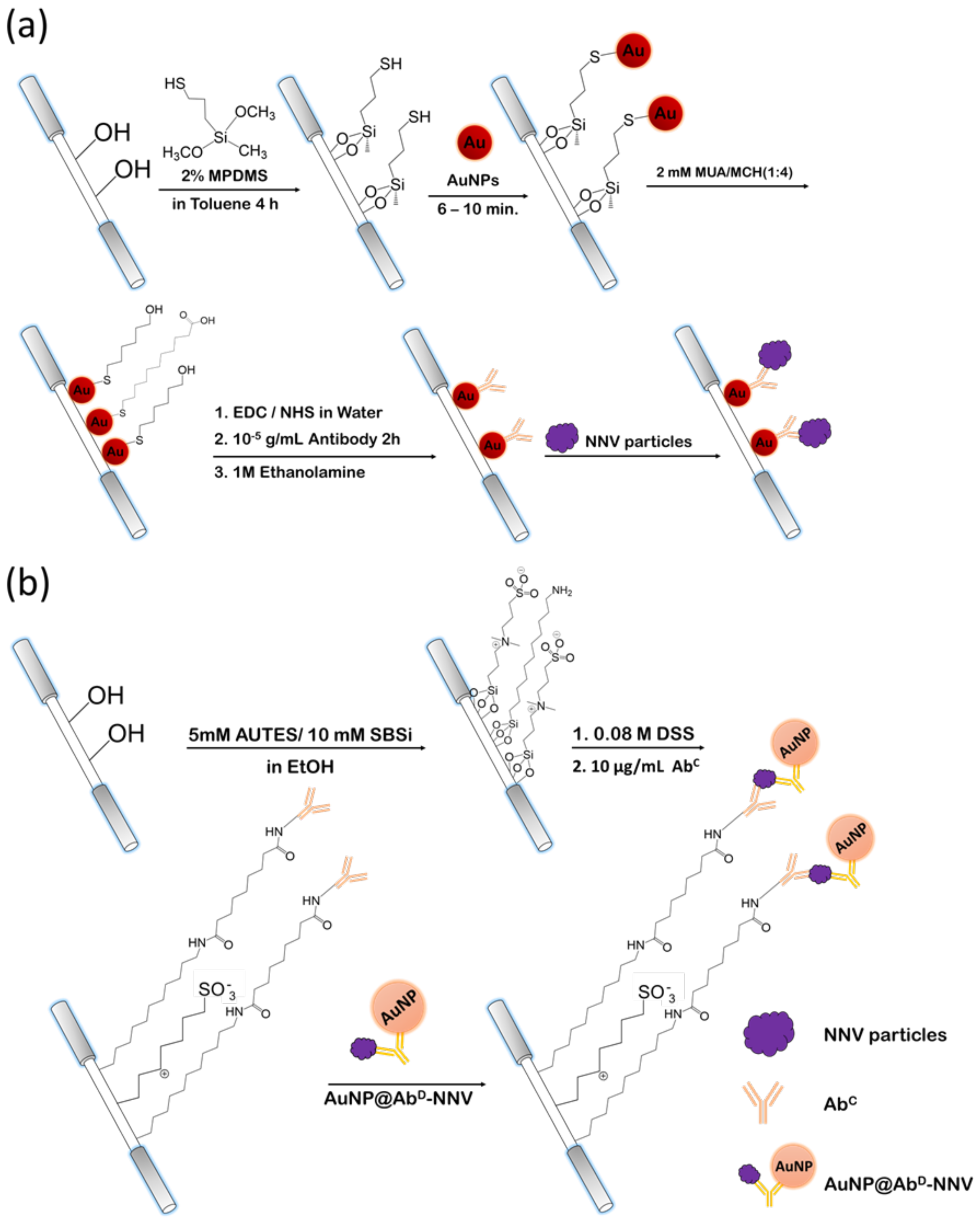 Biosensors 12 00907 sch001