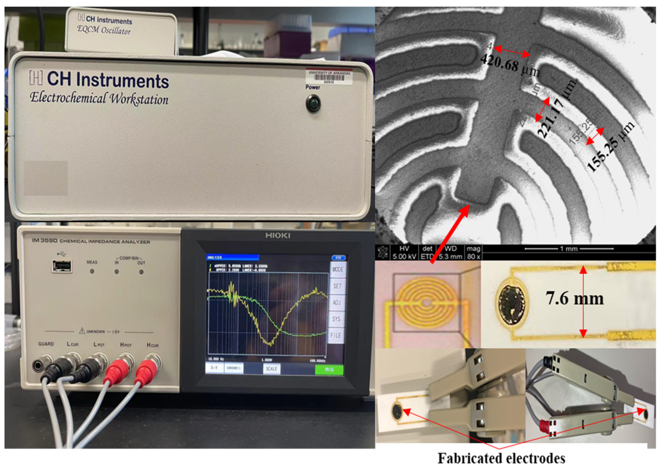 Biosensors 12 00908 g002 Biosensors 12 00908 g002