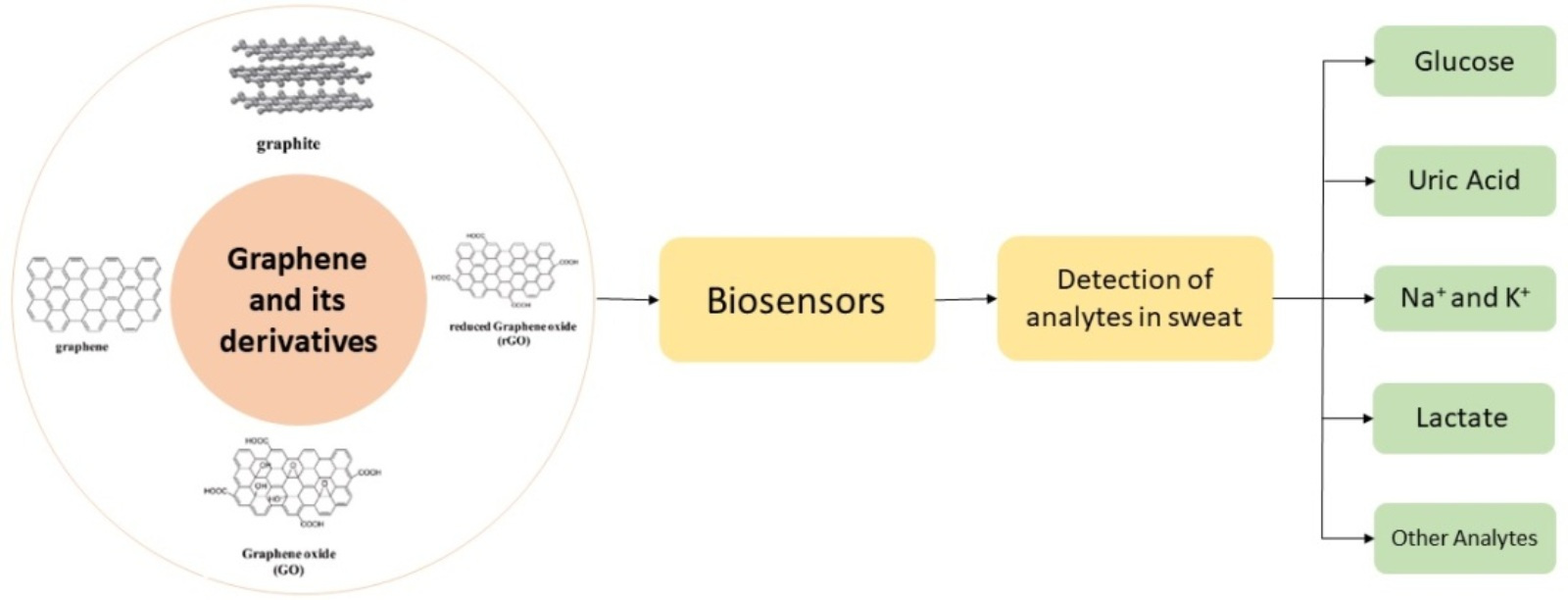 Biosensors | Free Full-Text | Graphene and Its Derivatives: Synthesis and  Application in the Electrochemical Detection of Analytes in Sweat