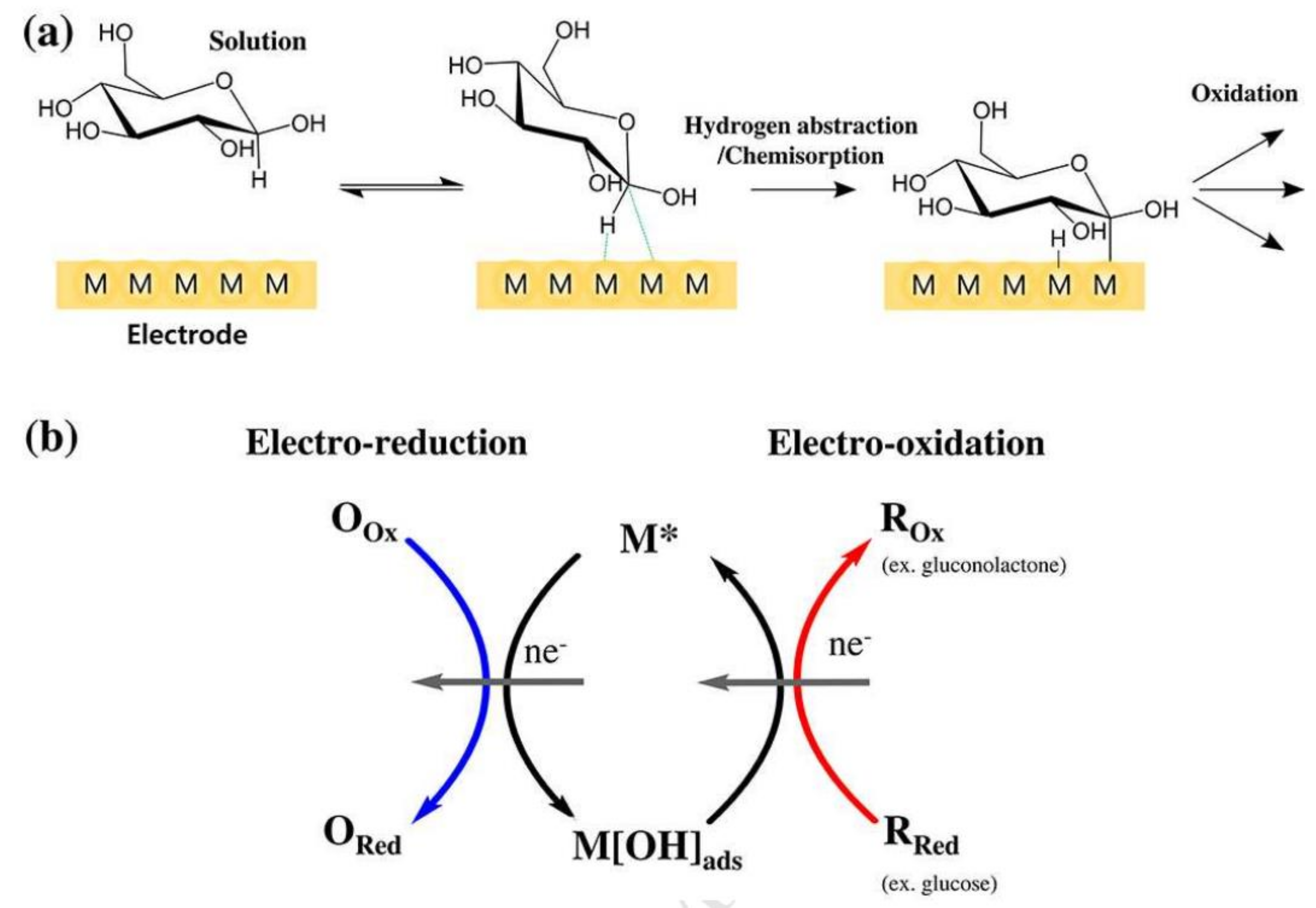 Biosensors 12 00910 g021 Biosensors 12 00910 g021